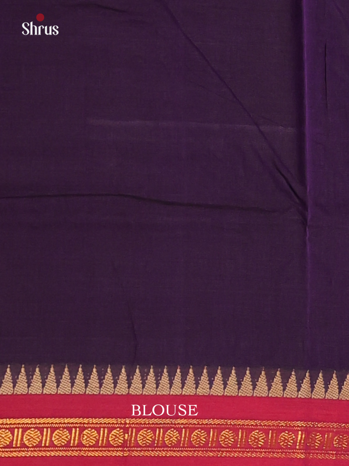 Blue with Red - Narayanpet Cotton Saree - Shop on Shrus.com