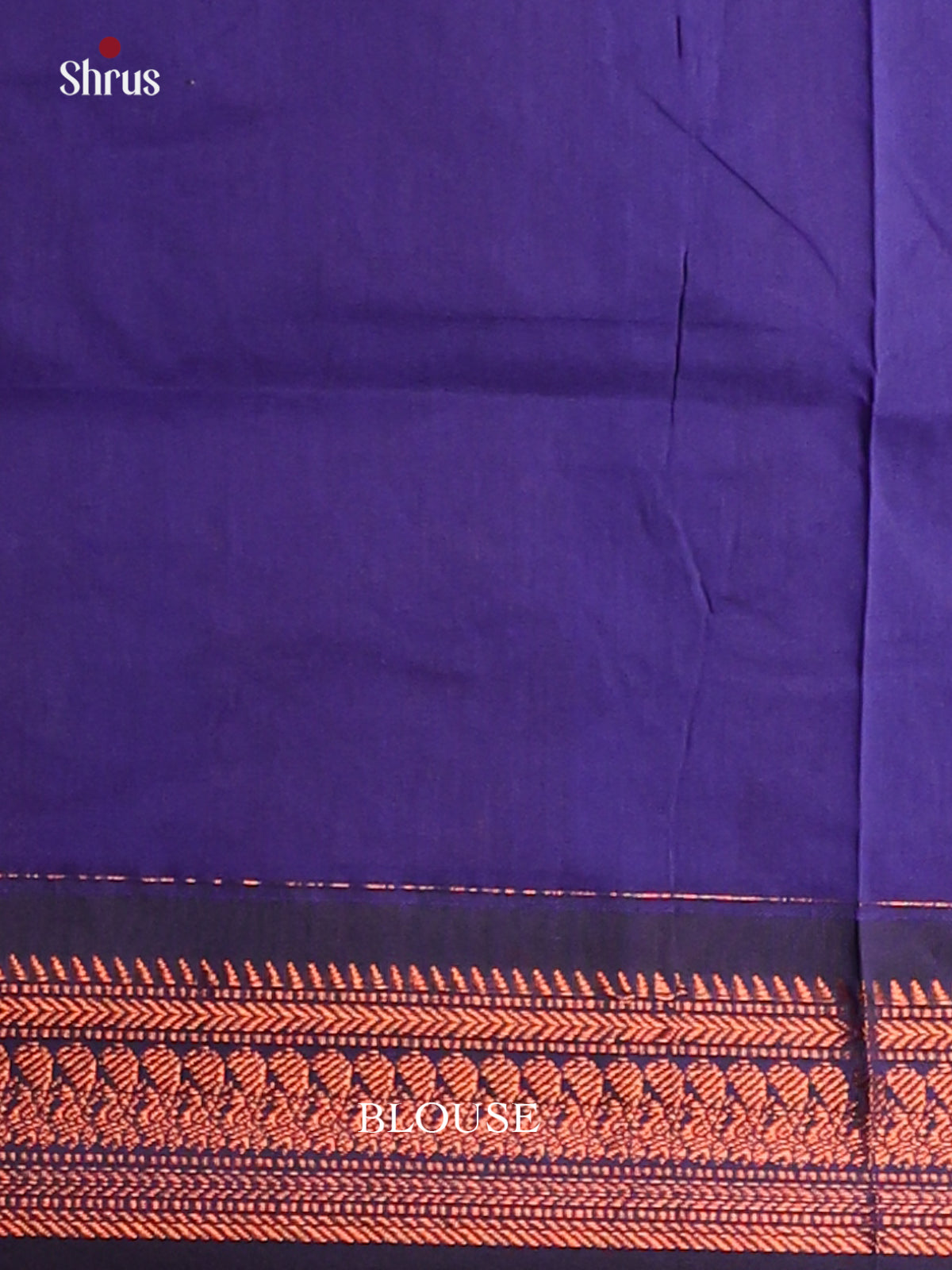 Pretty Green Kalyani Cotton Saree with Blue Zari Pallu & Elegant Zari Border - Shop on Shrus.com