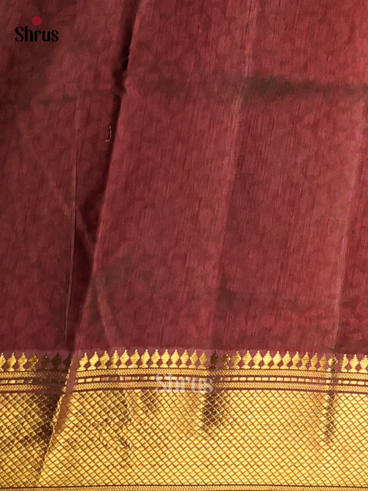 Green with Brown - Semi Patola Saree - Shop on Shrus.com