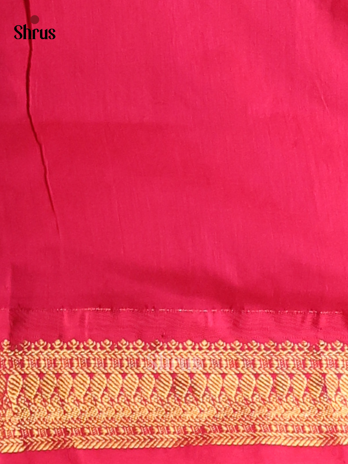 Pretty Violet Kalyani Cotton Saree with Pink Zari Border & Pallu - Shop on Shrus.com
