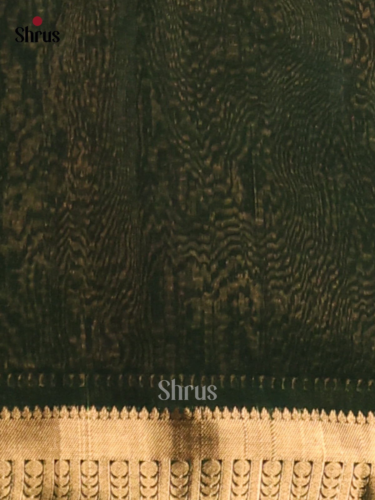 DES23346- Silk Cotton Saree - Shop on Shrus.com