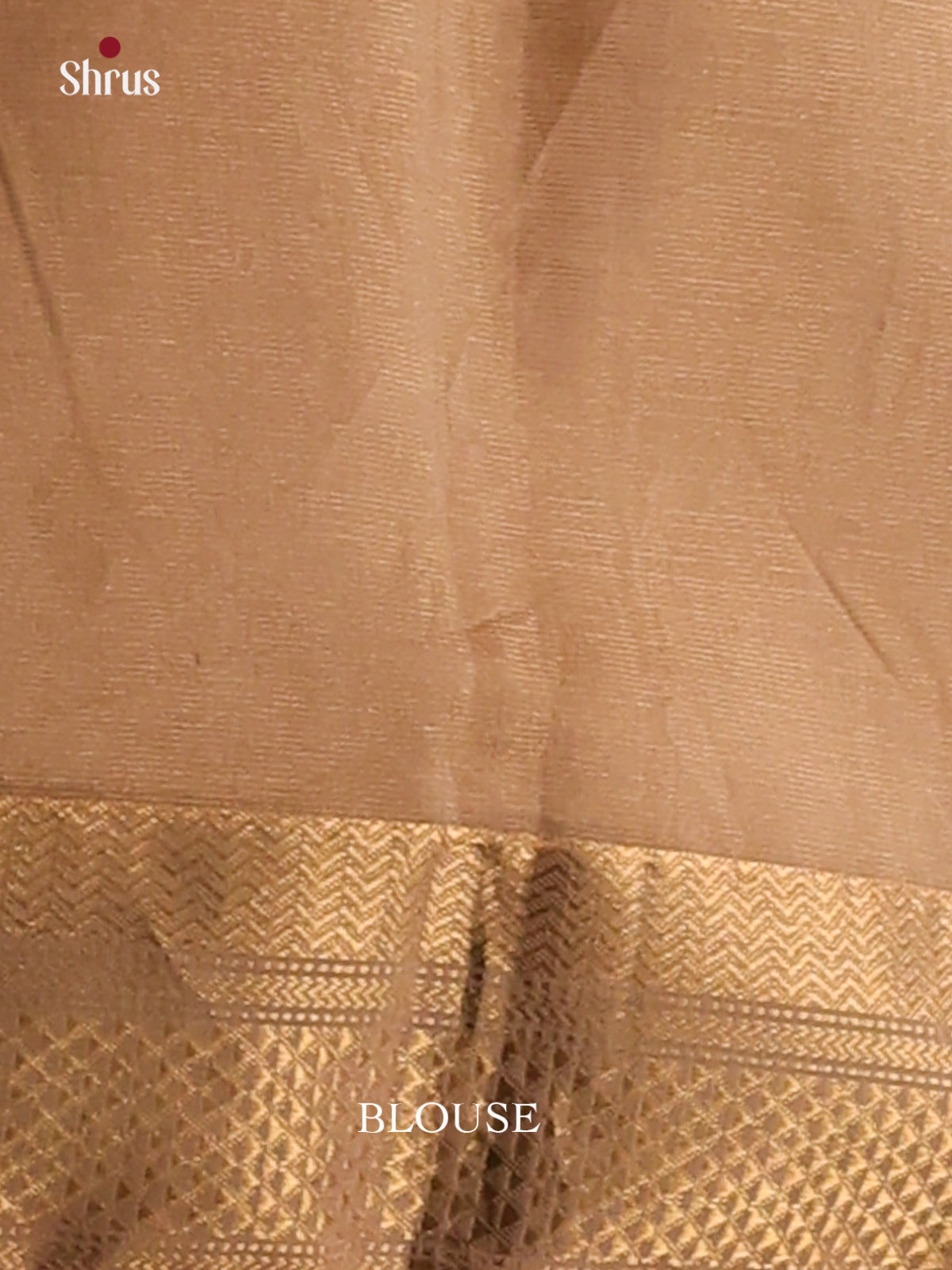 Beige(Single Tone)- Maheshwari silkcotton Saree - Shop on Shrus.com