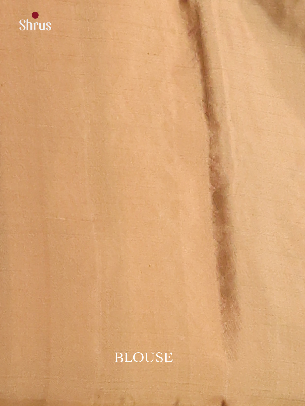 Stylish Black Soft Silk Saree with copper, silver zari pasileys motifs , brocade pallu-2