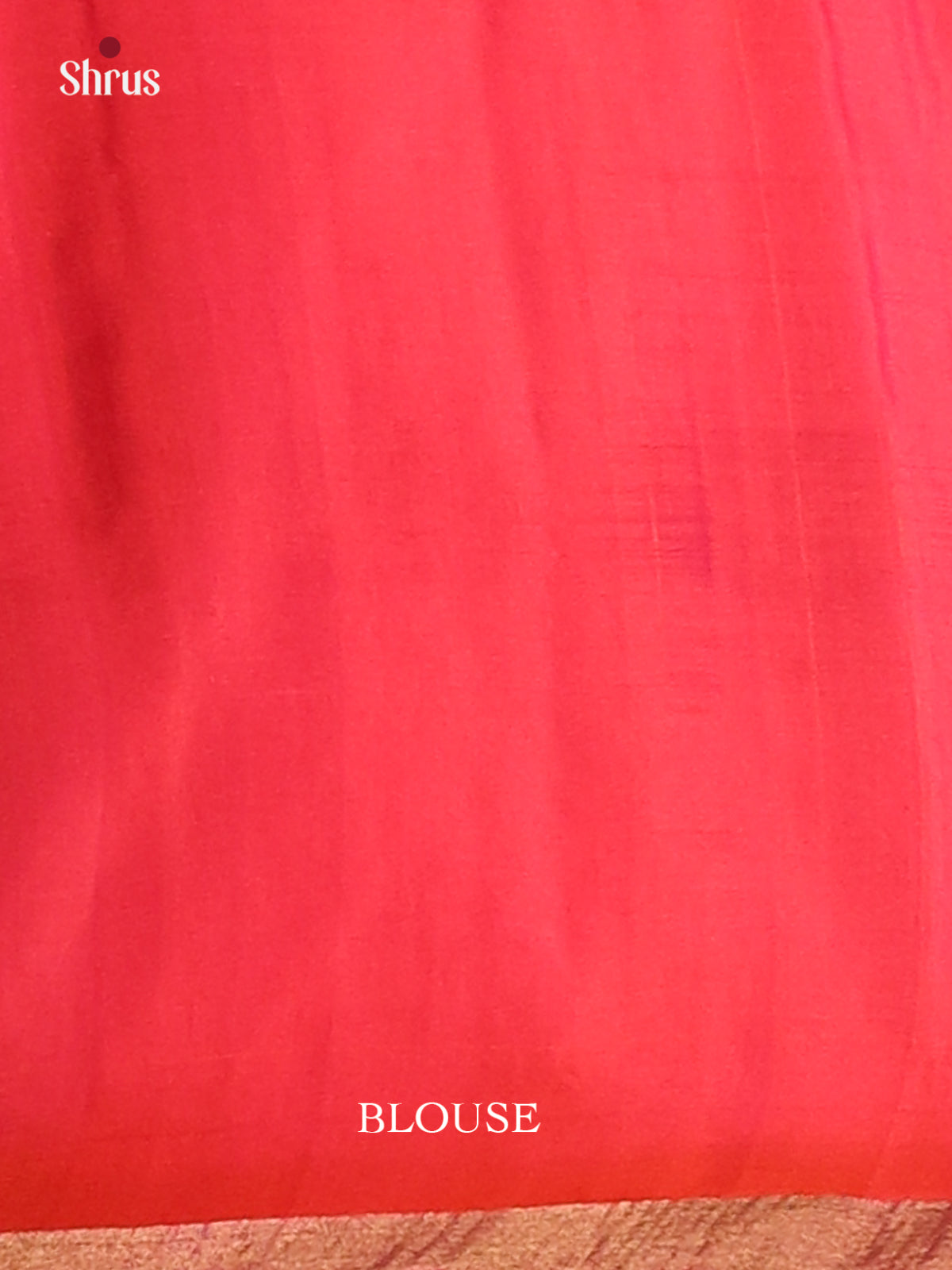 Serene Green Soft Silk Saree with gold, silver zari paisley motifs, contrast brocade pallu - Shop on Shrus.com