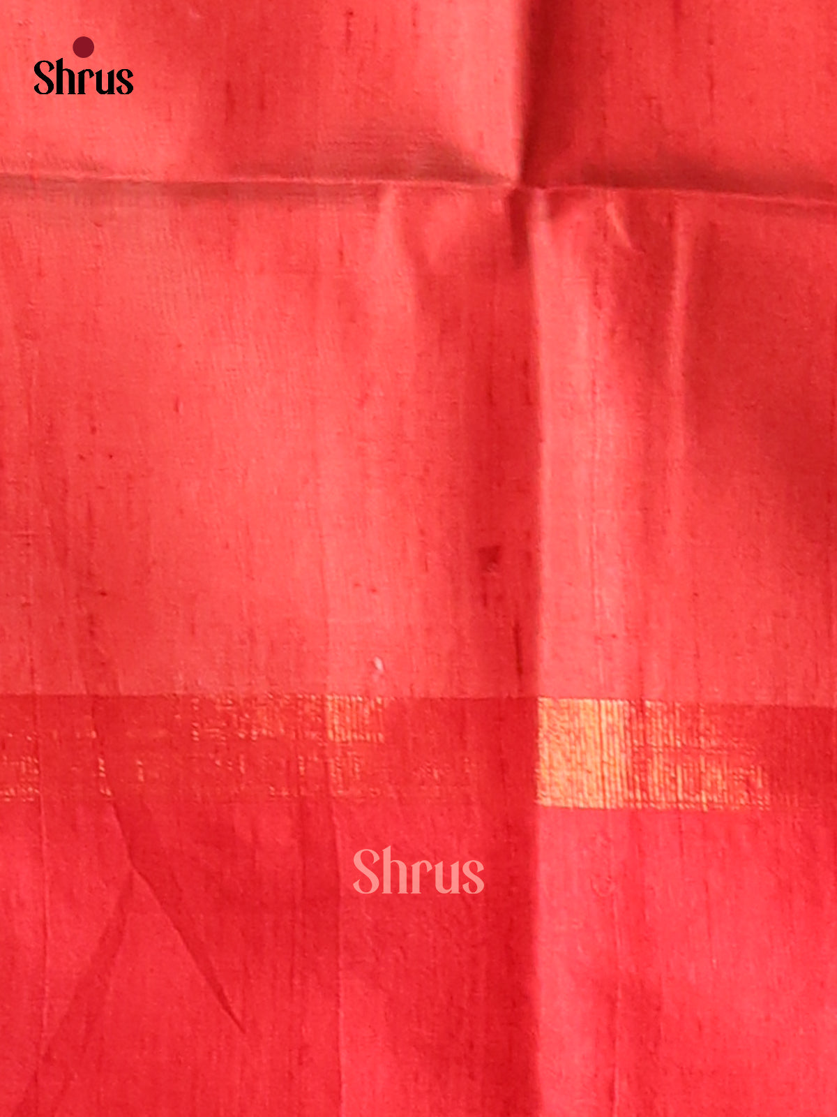 Ethreal Cream Raw Silk Saree with thread woven floral buttas contrast Red zari pallu - Shop on Shrus.com
