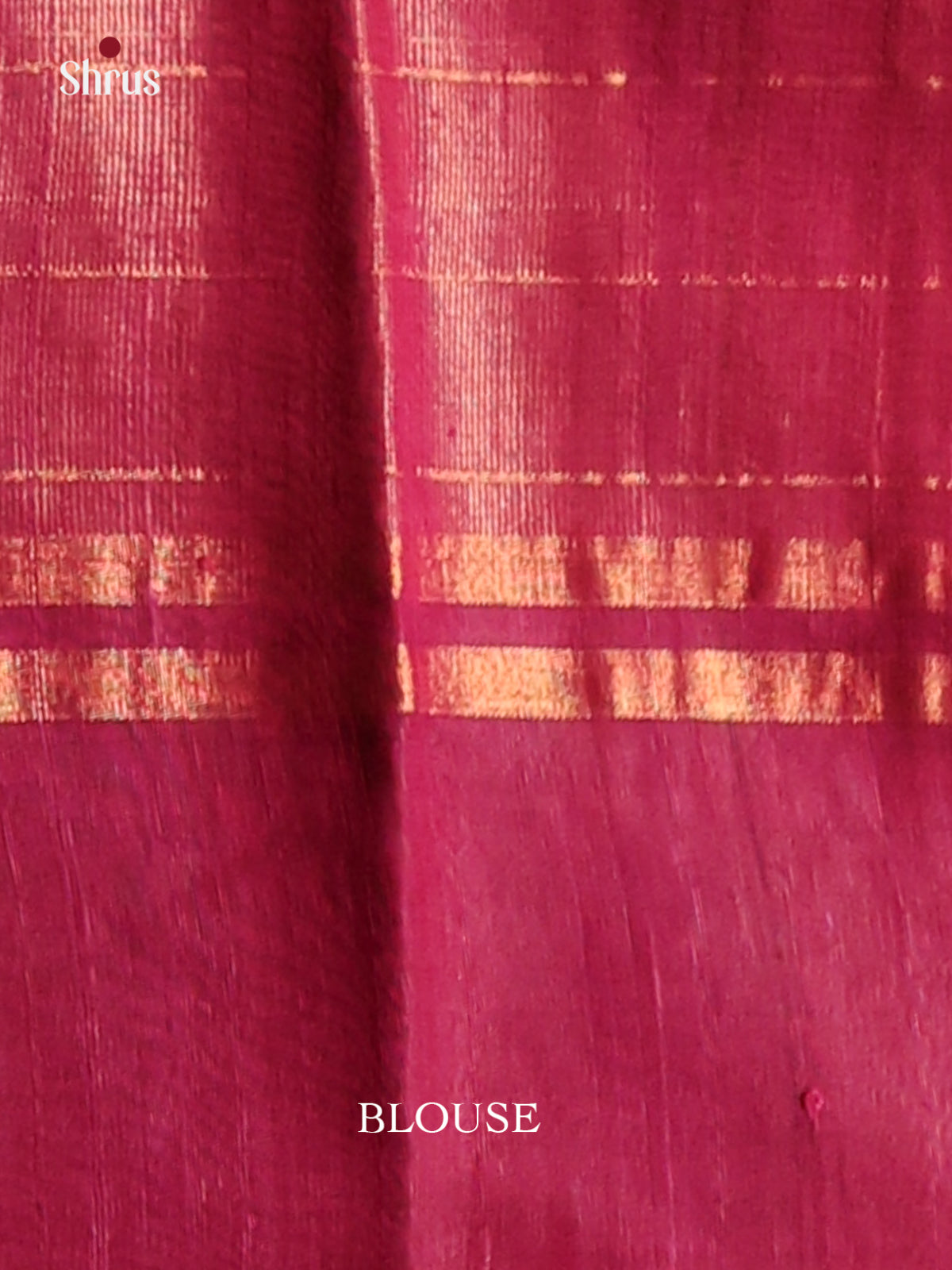 Classic Green Raw Silk Saree with zari checks , contrast gold , silver zari motifs border - Shop on Shrus.com