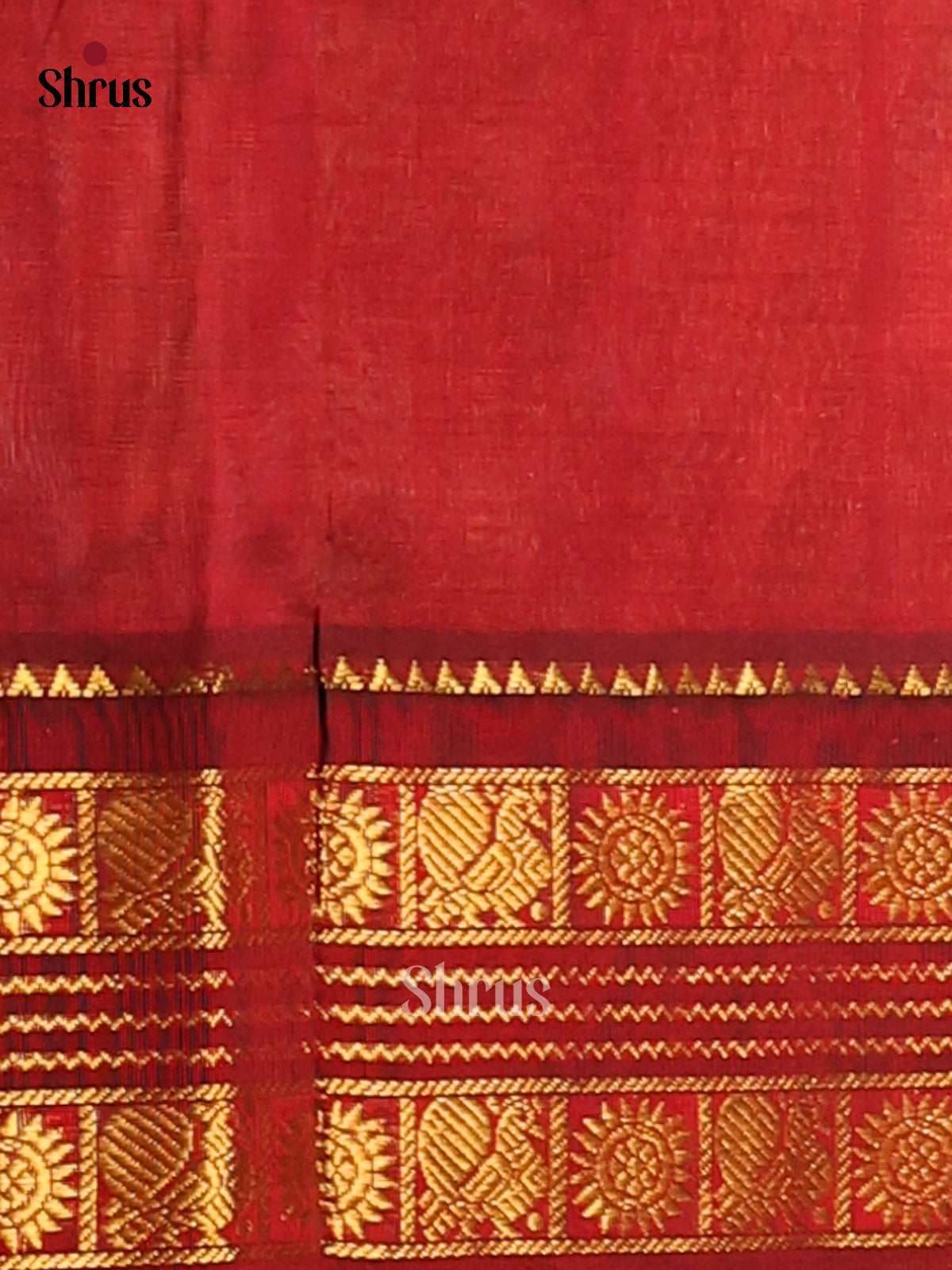 Beautiful Cream Silk Cotton Saree with contrast Maroon gold zari border - Shop on Shrus.com