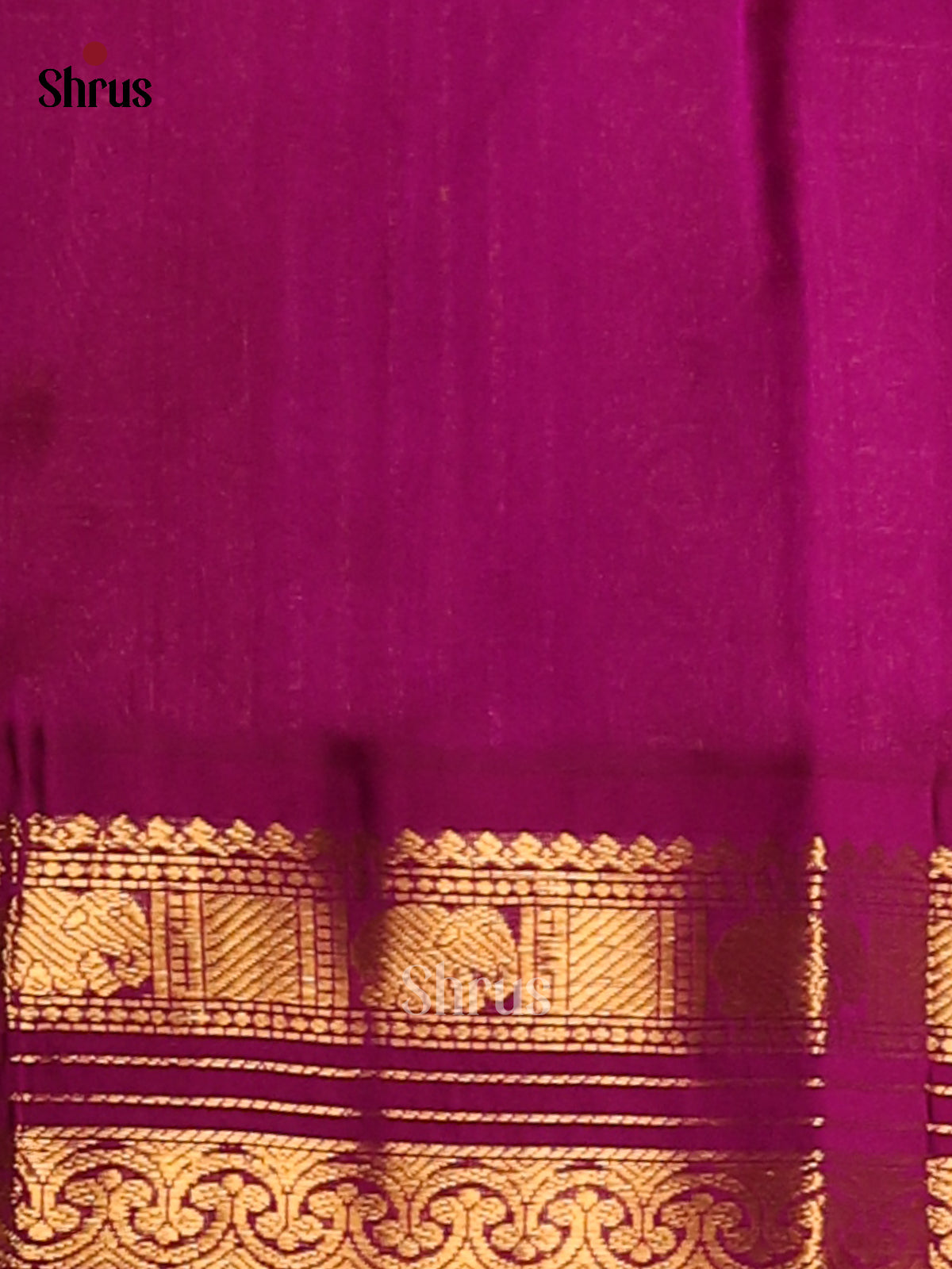 Gorgeous Sandal Silk Cotton Saree with contrast Purple zari border - Shop on Shrus.com