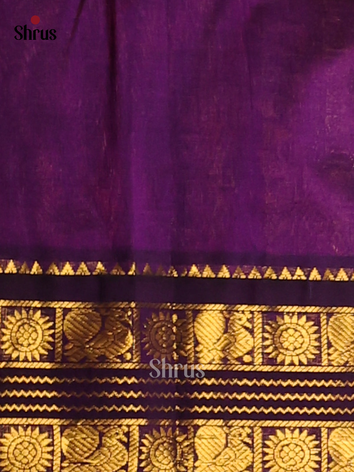 Stunning Peach Silk Cotton Saree with violet border adorned with peacock & floral buttas - Shop on Shrus.com