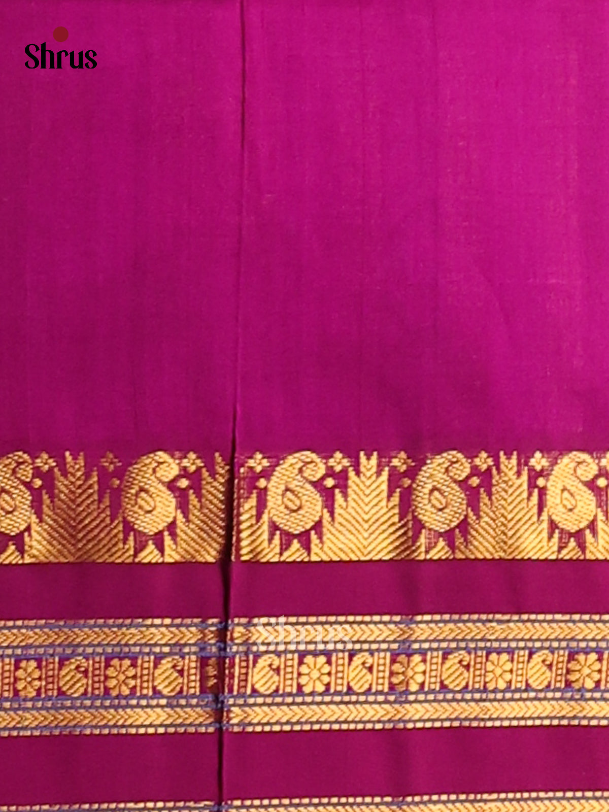 Ethereal Green Silk Cotton Saree with pink zari woven pallu - Shop on Shrus.com