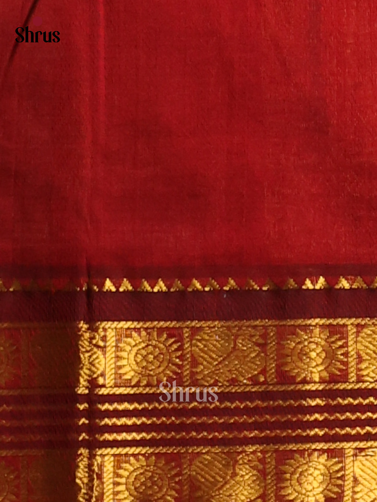 Charming Ice Blue Silk Cotton Saree with gold zari floral buttas border - Shop on Shrus.com