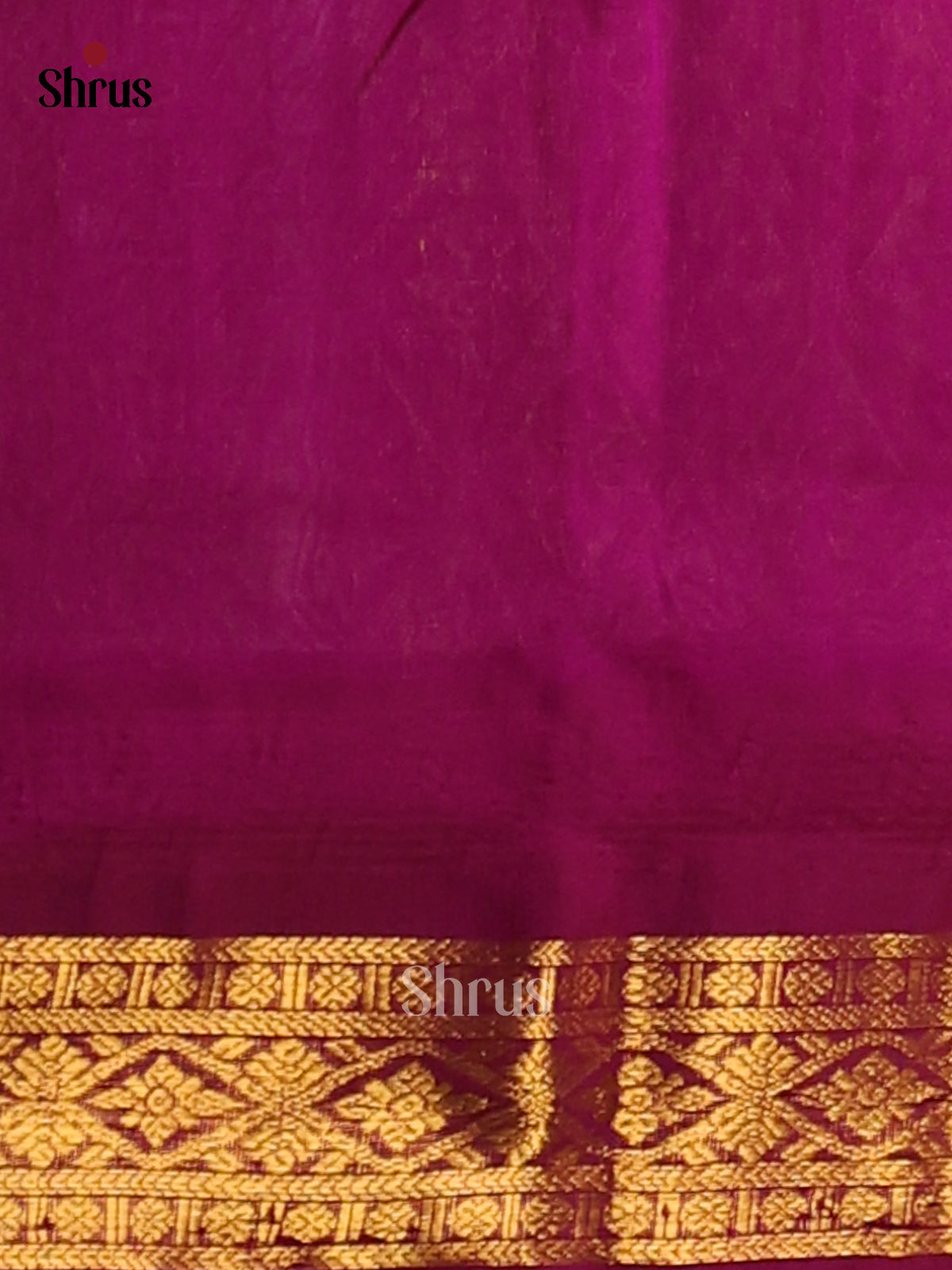 Vibrant Pista Green Silk Cotton Saree with simple body & contrast brocade pallu - Shop on Shrus.com
