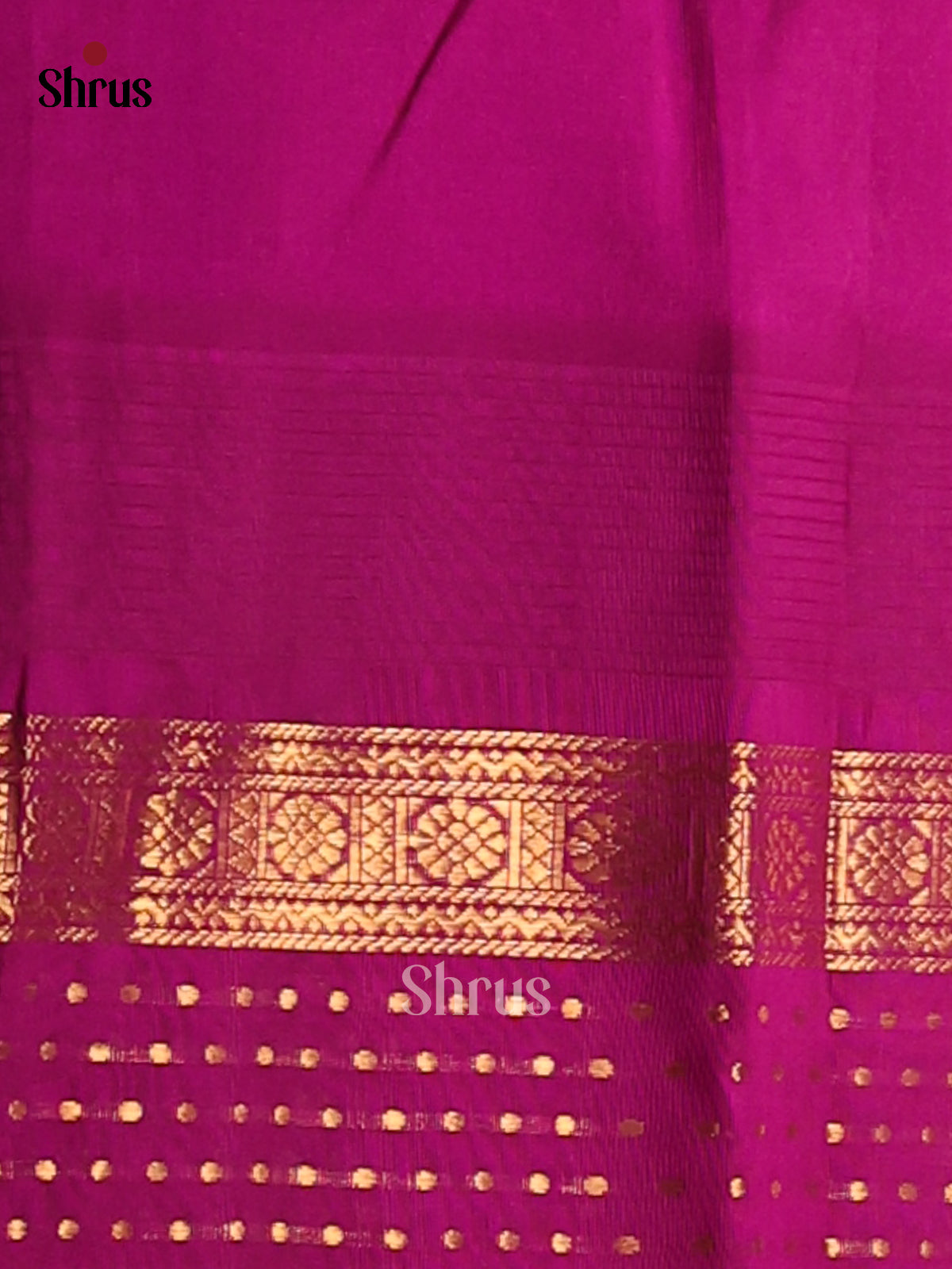 Regal Teal Green Silk Cotton Saree with gold zari paisleys buttas , contrast border - Shop on Shrus.com