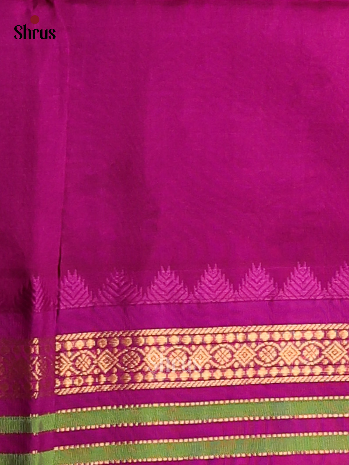 Classy Pista green Silk Cotton Saree with zari kattam , Majenta zari border - Shop on Shrus.com