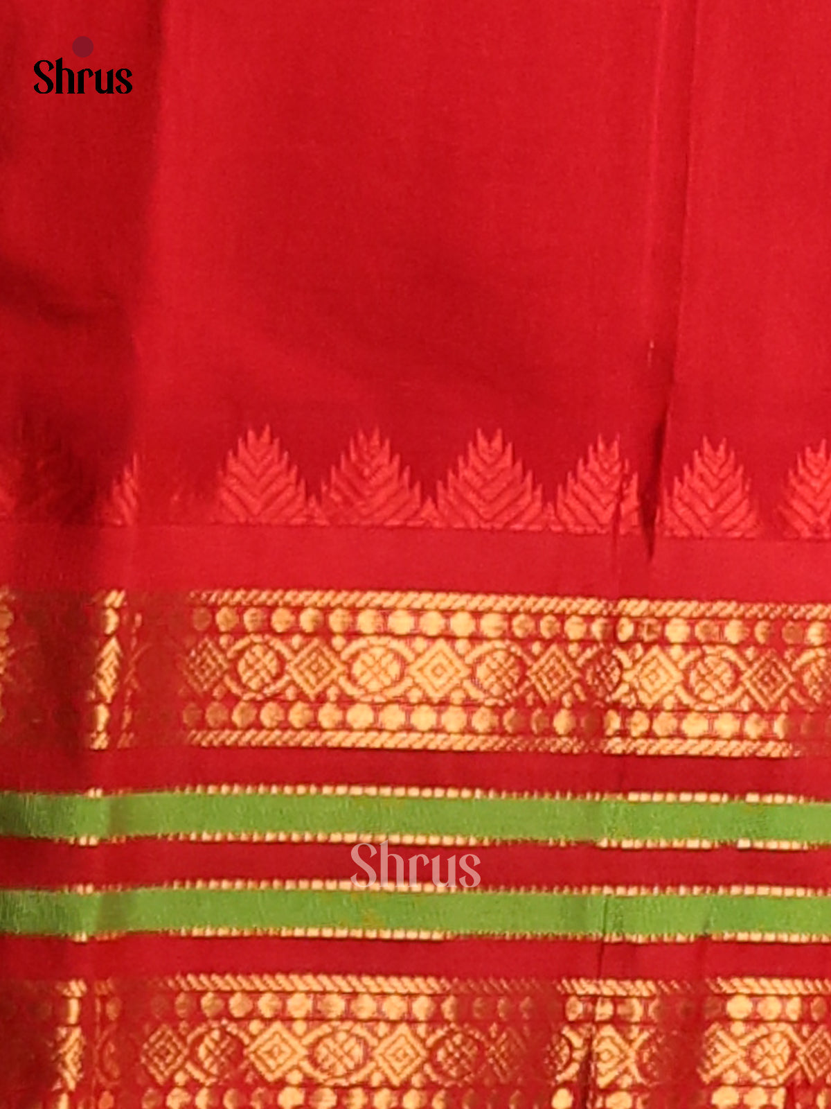 Shimmery Golden Brown Silk Cotton Saree with zari checks & Red zari Border - Shop on Shrus.com