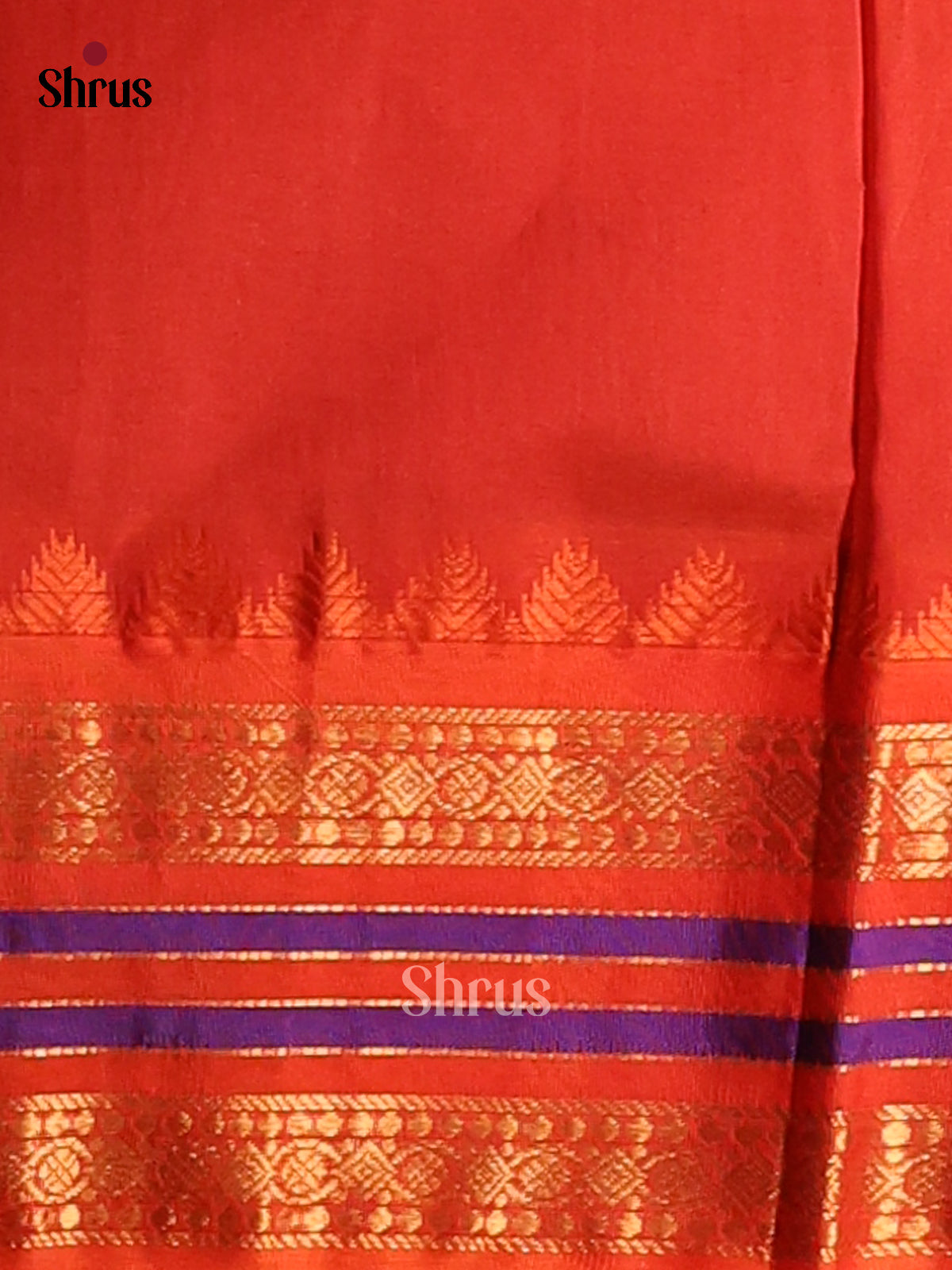 Chic Purple Silk Cotton Saree with gold zari kattam & red zari border - Shop on Shrus.com