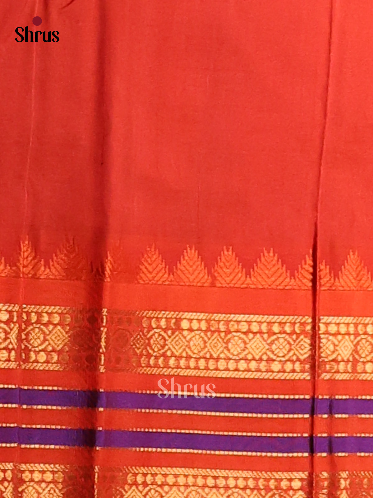 Vibrant Blue Silk Cotton Saree with zari kattam , contrast zari woven pallu - Shop on Shrus.com