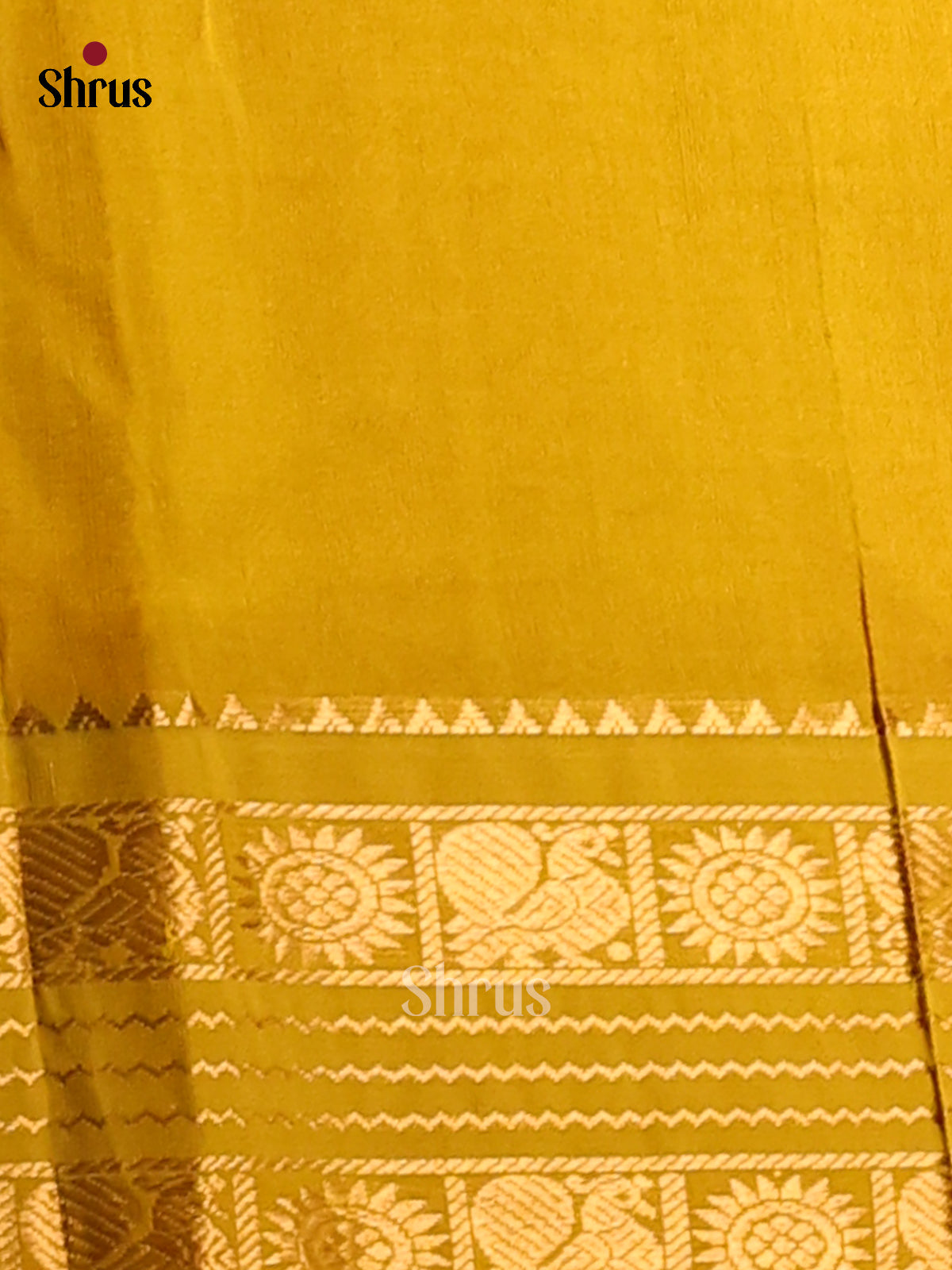 Fiery Red Silk Cotton Saree with gold zari checks & mathulir zari brocade pallu - Shop on Shrus.com