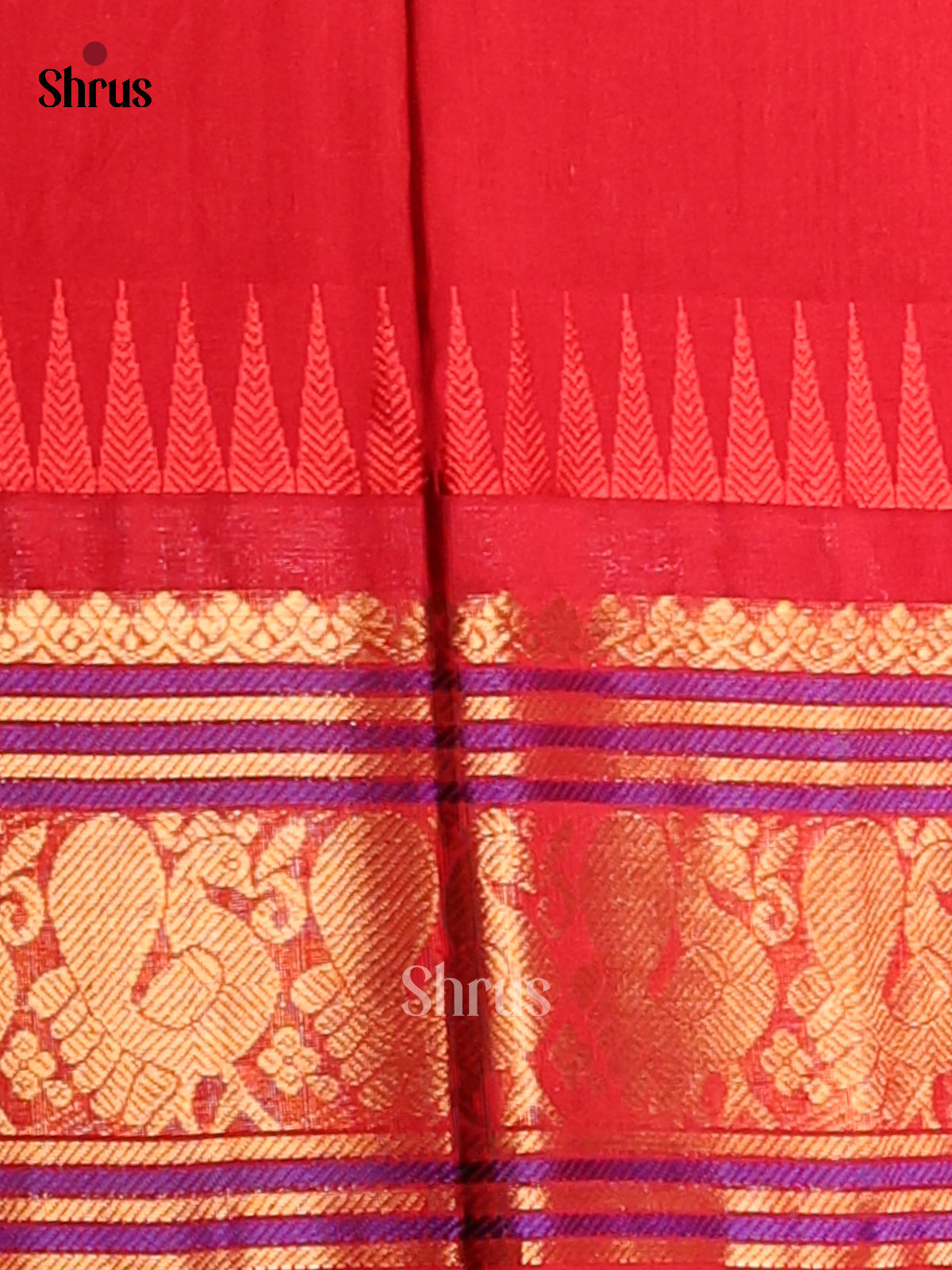 Classy Green Silk Cotton Saree with gold zari peacock buttas & red brocade pallu - Shop on Shrus.com