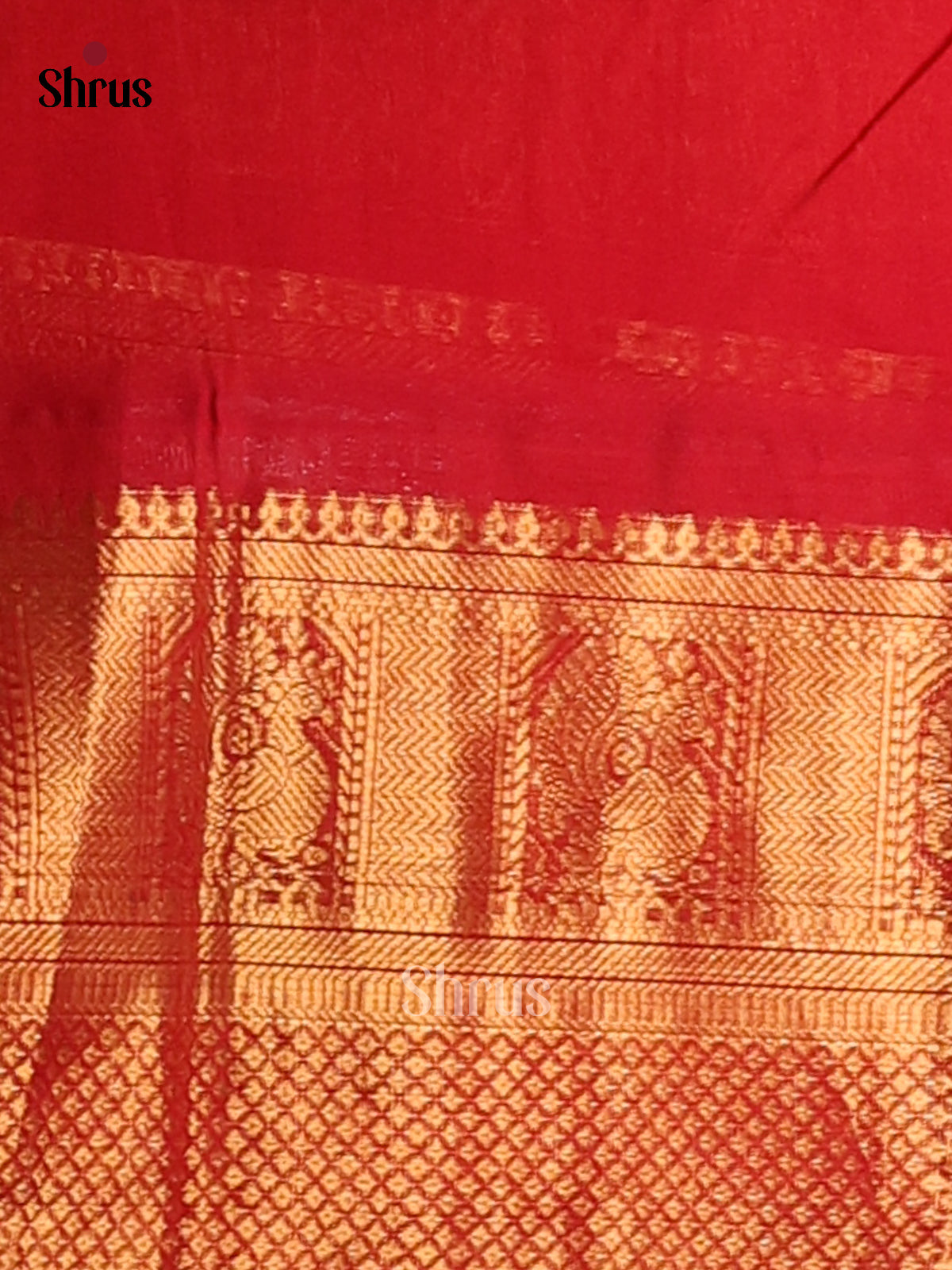 Serene Parrot Green Silk Cotton Saree with gold zari peacock buttas & brocade pallu - Shop on Shrus.com