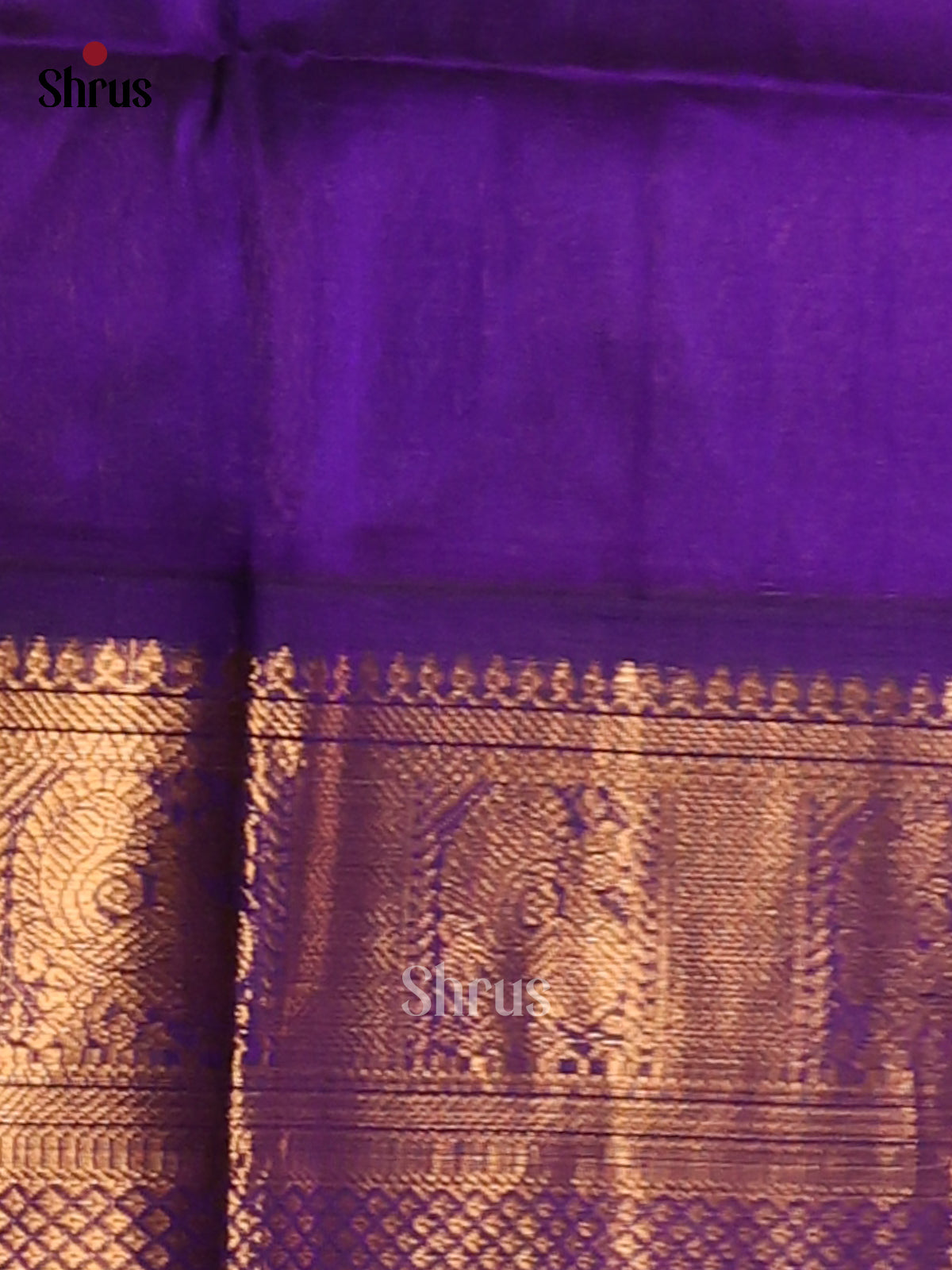 Sky Blue korvai Silk Cotton Saree with zari peacock buttas & Violet brocade pallu -1
