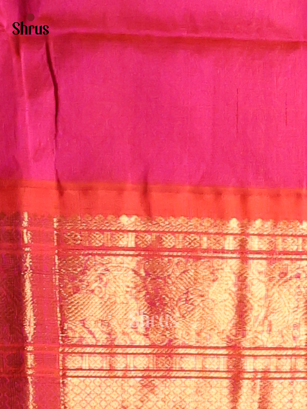 Vibrant Blue Silk Cotton Saree with zari peacock buttas & pink brocade pallu - Shop on Shrus.com