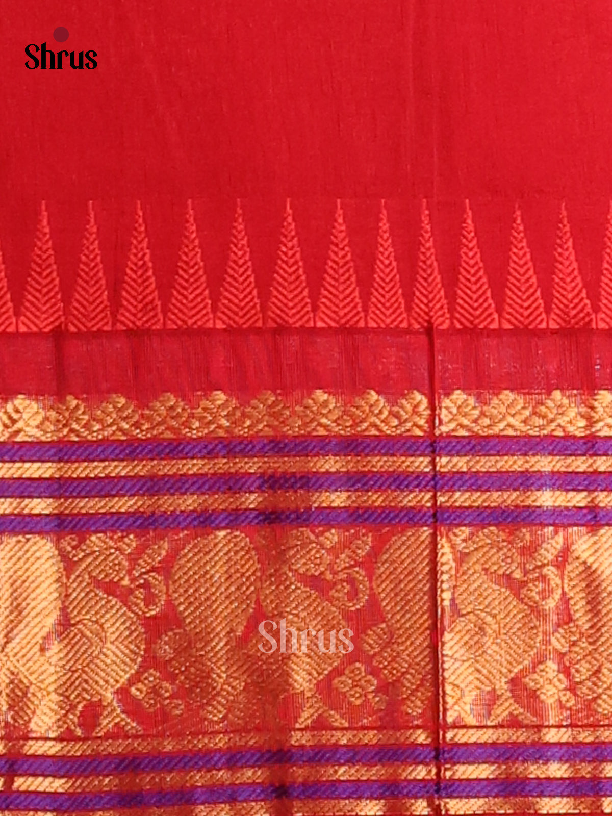Ethereal Violet Silk Cotton Saree with gold zari peacock buttas , red zari brocade pallu - Shop on Shrus.com