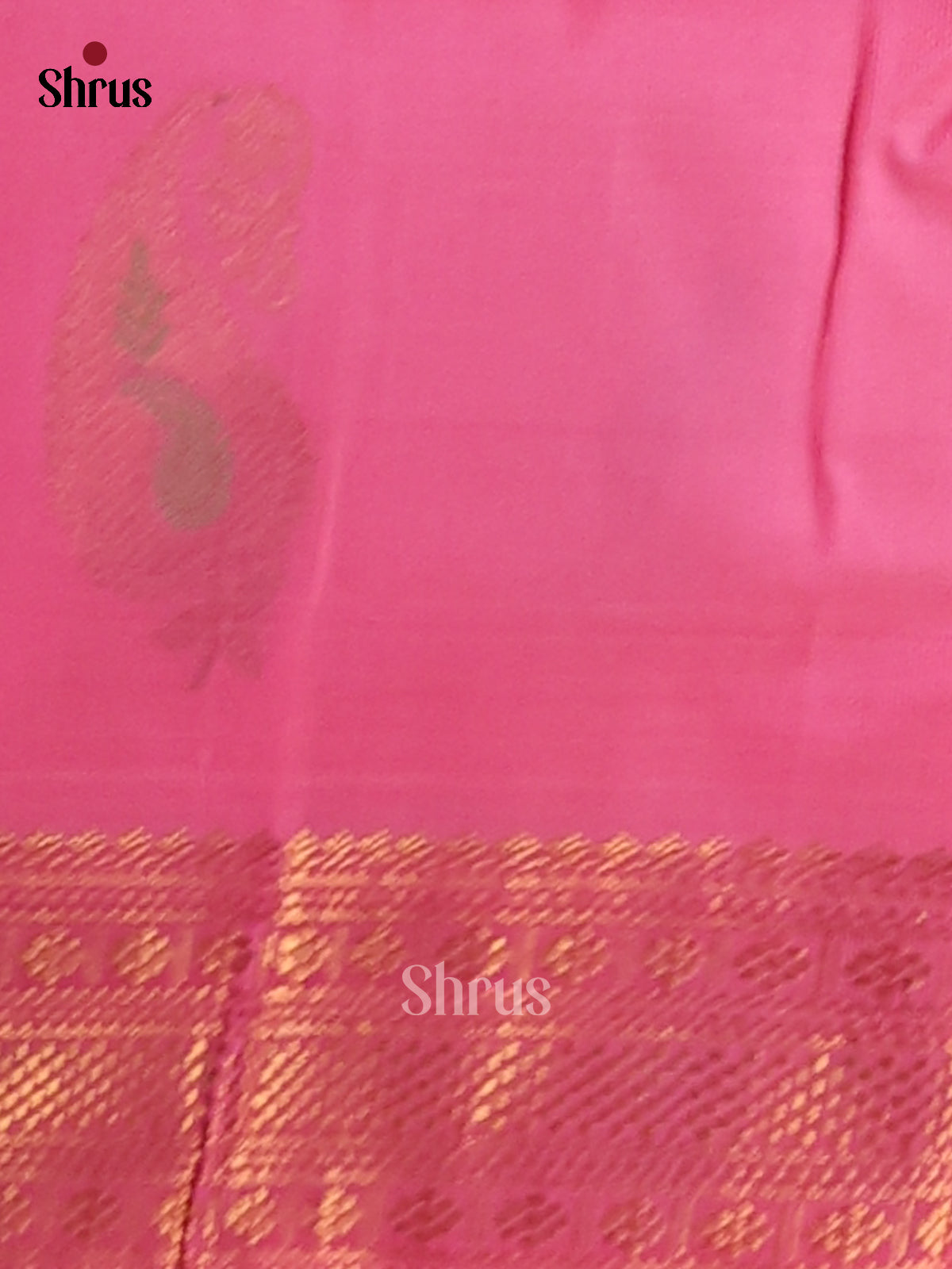 Serene Green Silk Cotton Saree with zari podi kattam & pink zari brocade pallu - Shop on Shrus.com