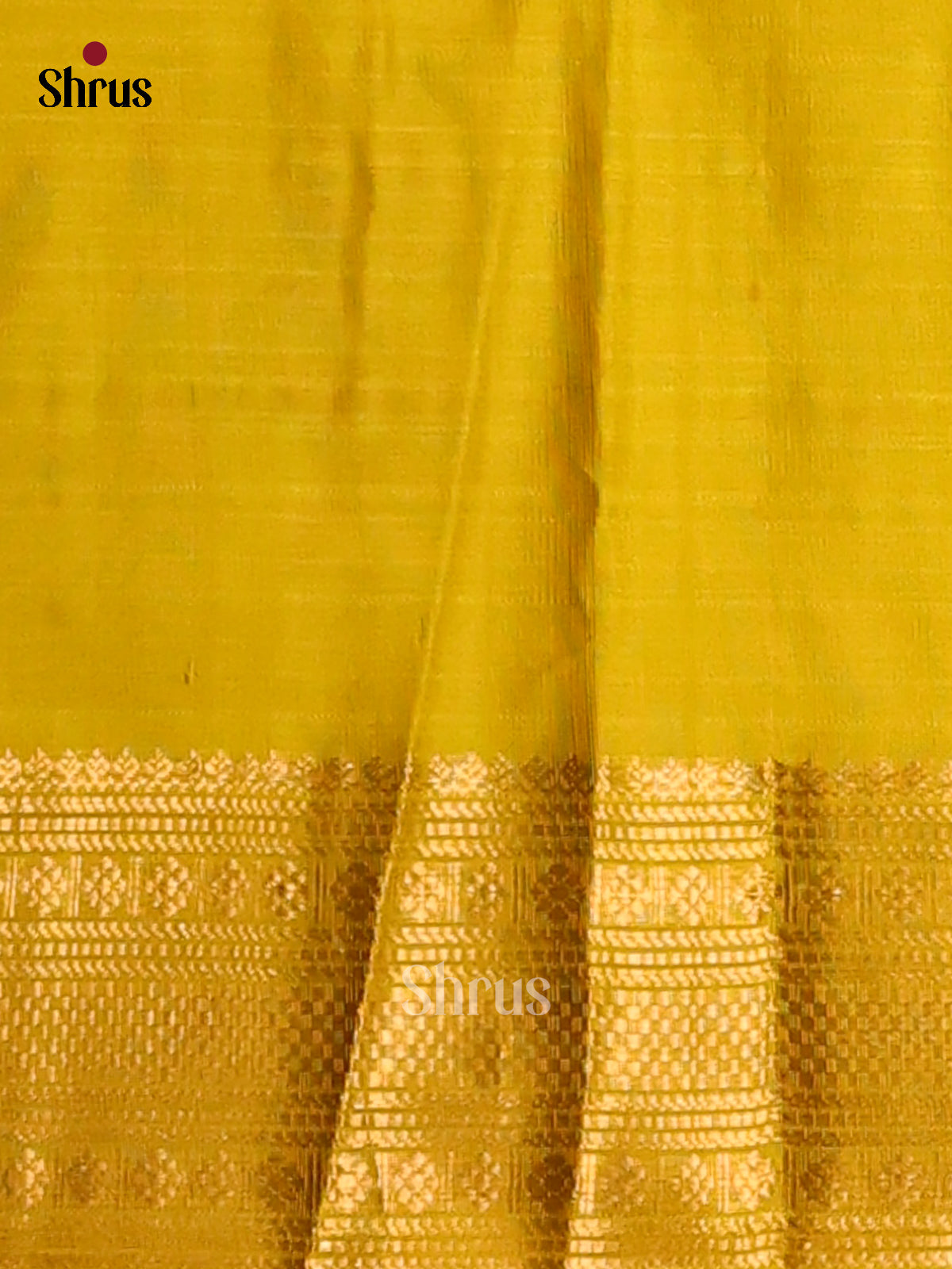 Graceful Violet Silk Cotton Saree with zari podi kattam & yellow brocade pallu - Shop on Shrus.com