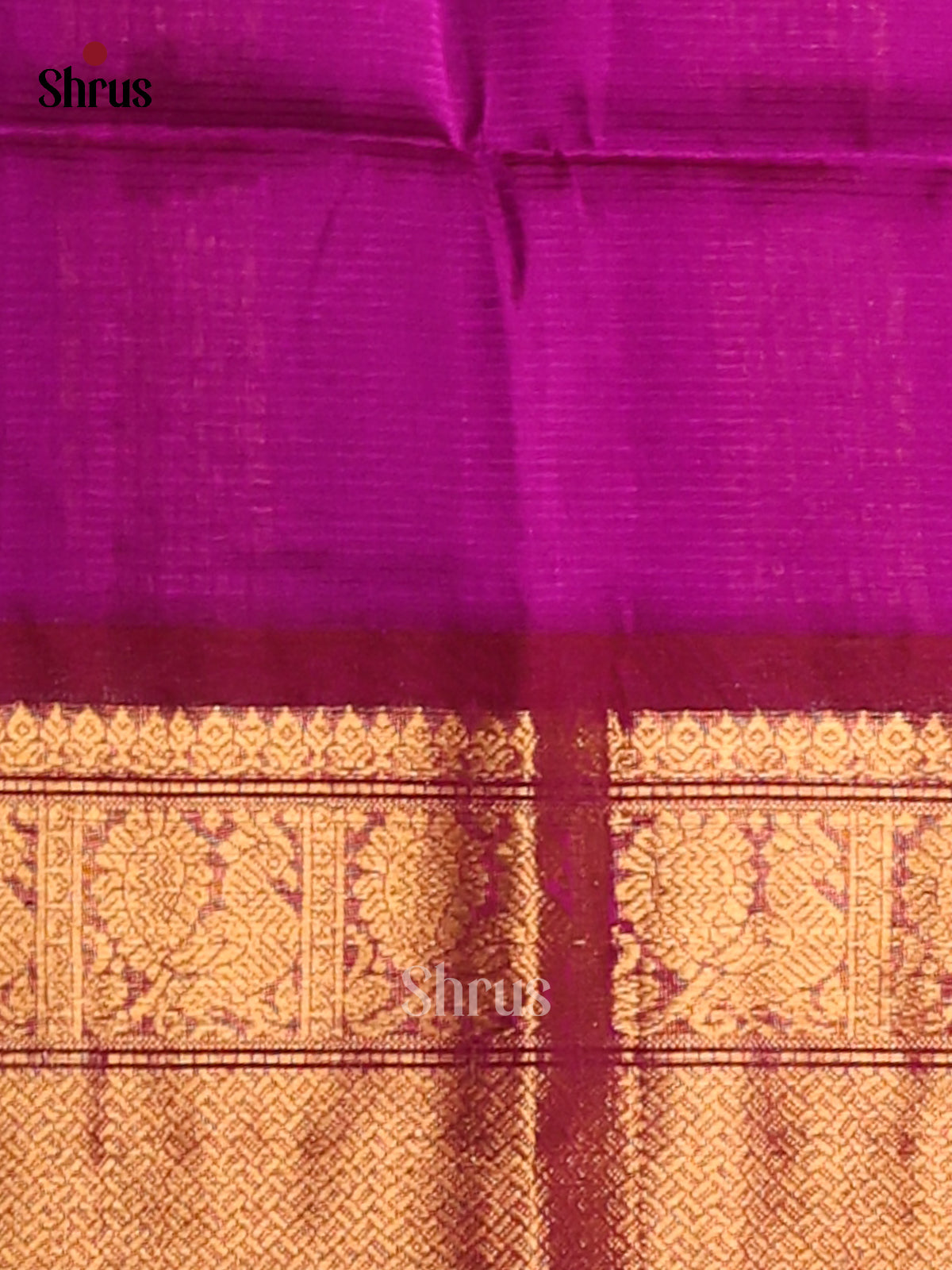 Classic Green Silk Cotton Saree with Simple Body , Majenta zari border - Shop on Shrus.com