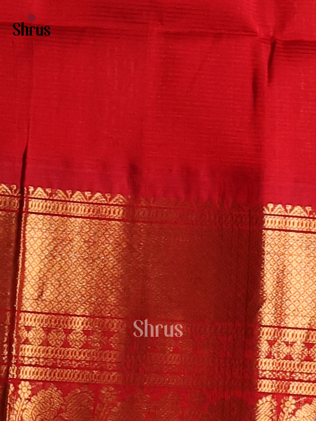 Light Green Silk Cotton Saree with Red Zari Border & Rich Brocade Pallu - Shop on Shrus.com