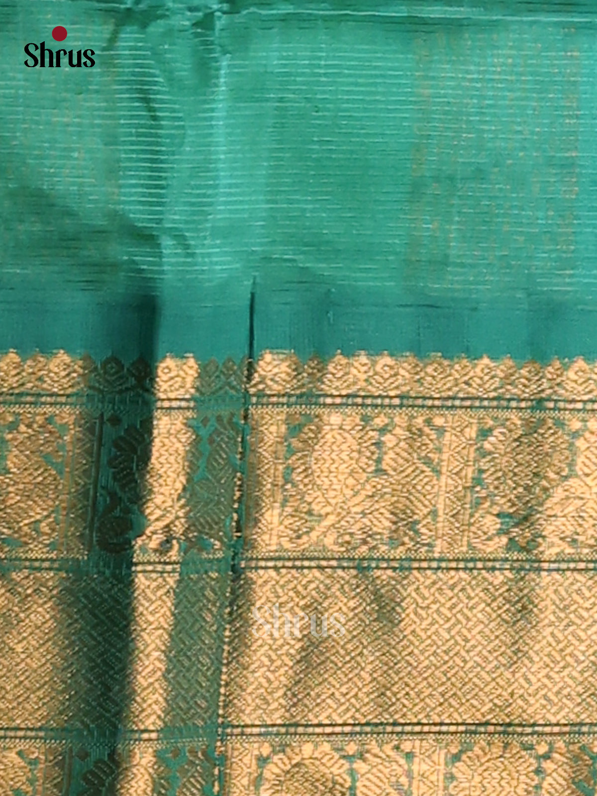 Parrot Green Silk Cotton Saree with Teal Zari Border & Brocade Pallu - Shop on Shrus.com