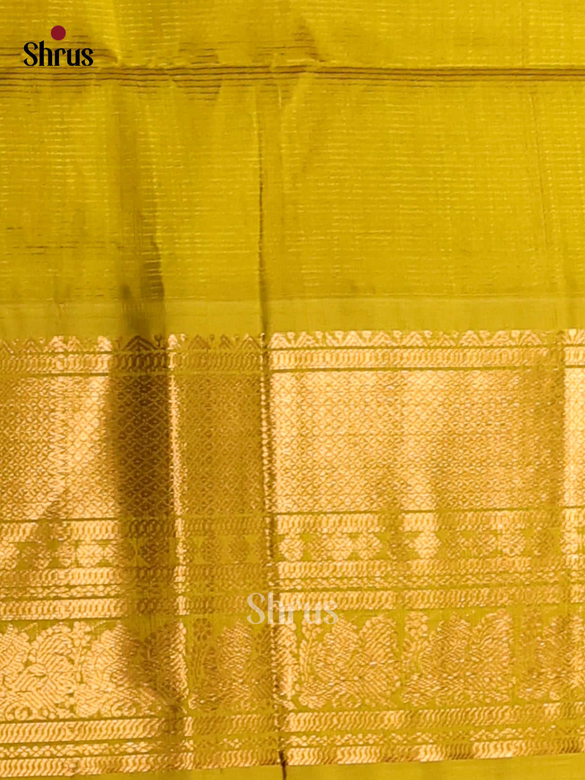 Charming Purple Silk Cotton Saree with contrast Mehandi green zari border - Shop on Shrus.com