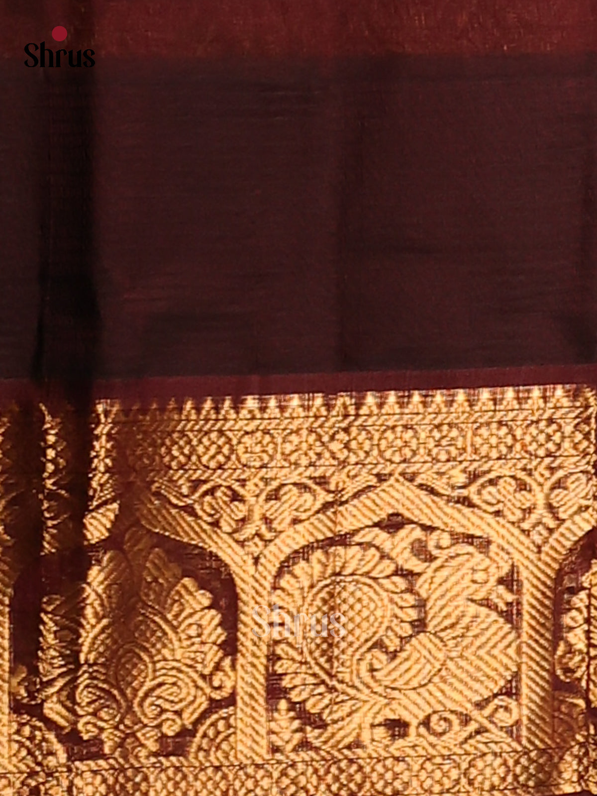 Radiant Parrot Green Silk Cotton Saree with brown Kanchi style zari border - Shop on Shrus.com