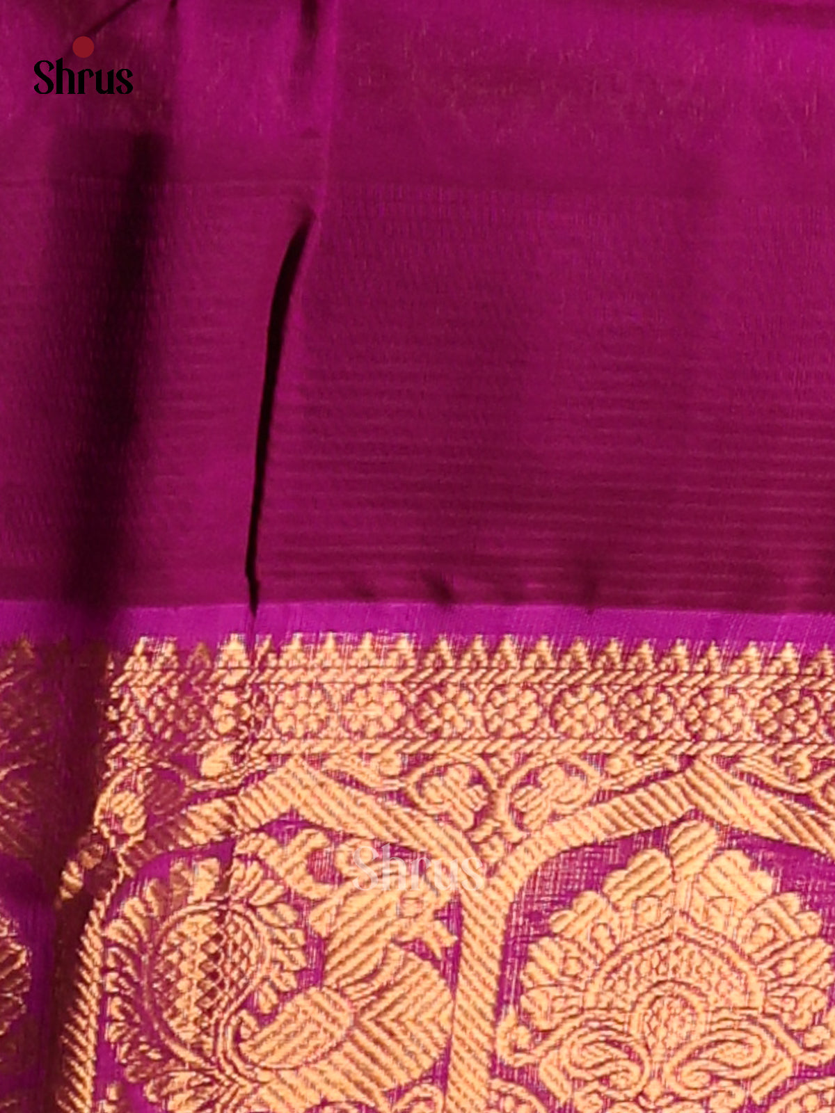 Serene Light Green Silk Cotton Saree with Pink Border adorned with peacock & floral motifs - Shop on Shrus.com