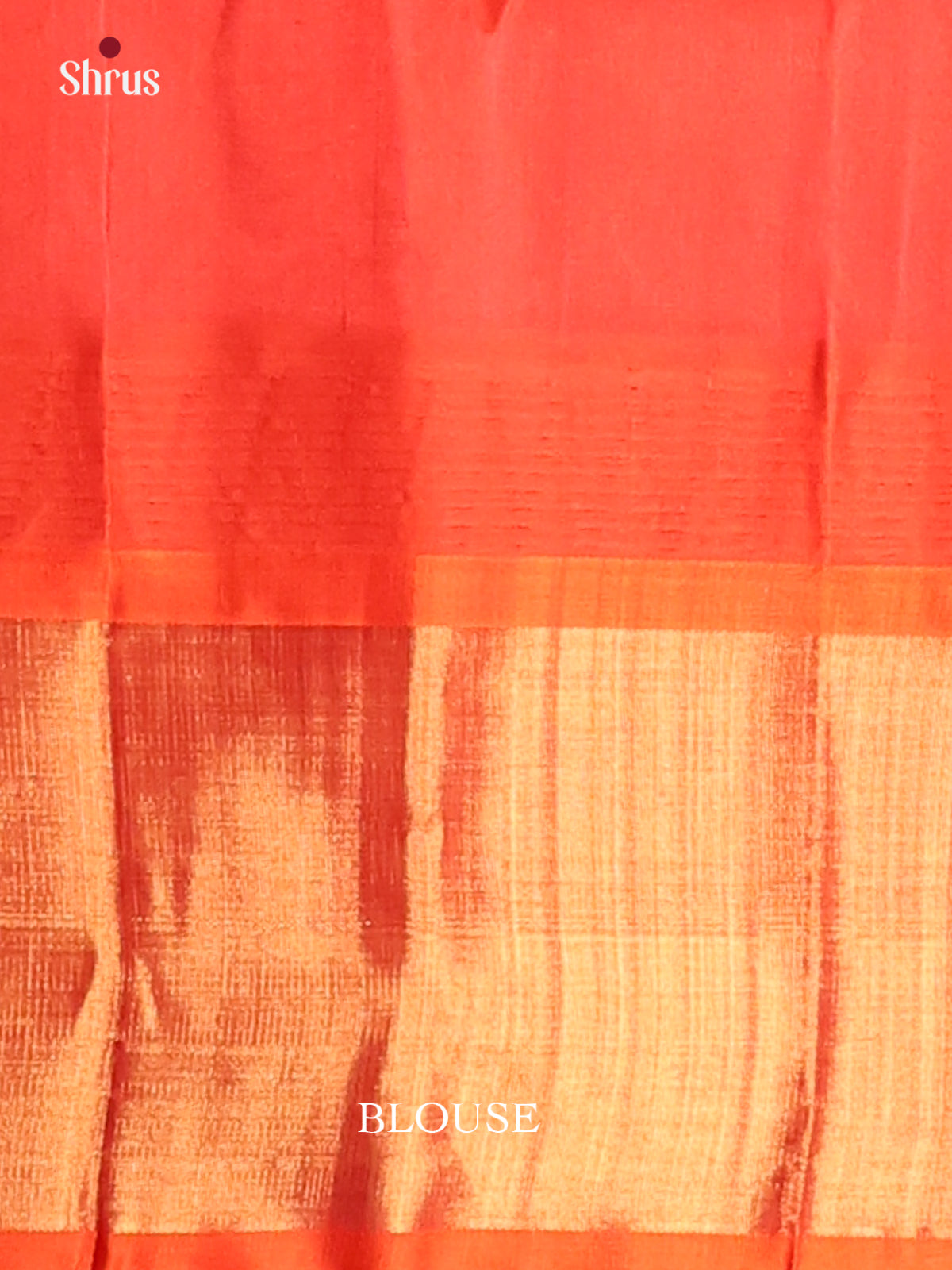 Vivacious Cream Silk Cotton Saree with ganga jamuna zari border - Shop on Shrus.com