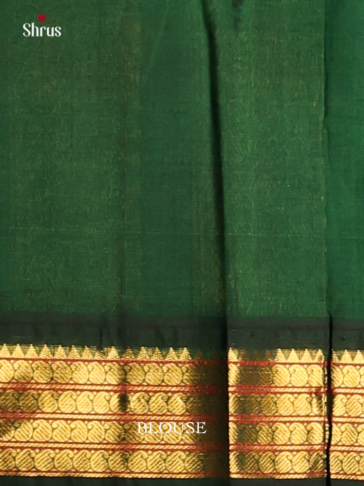 Elegant Pink & Green Silk Cotton Saree With Maanga Buttas & Zari Woven Contrast Pallu - Shop on Shrus.com