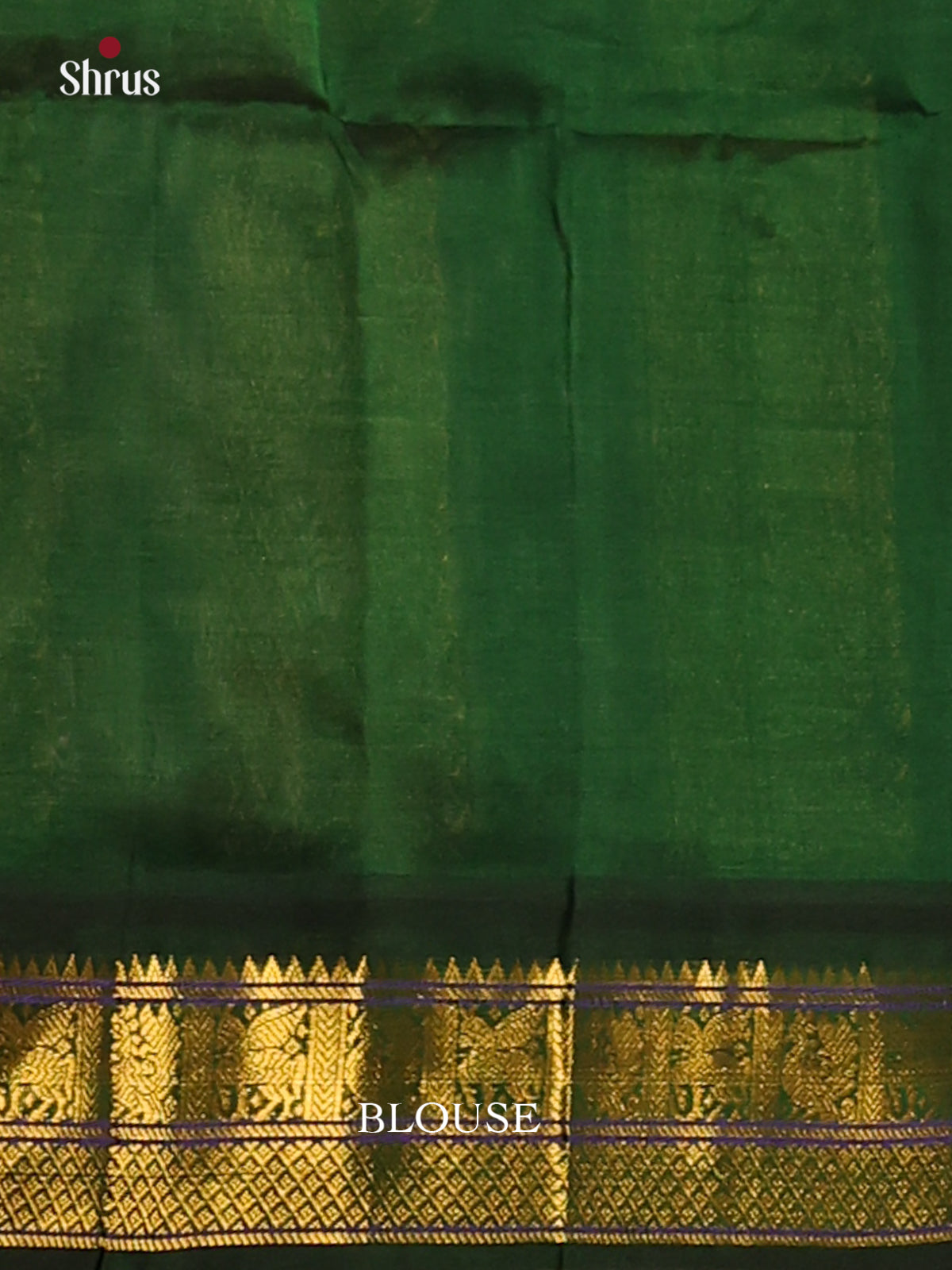 Elegant Cream & Green Silk Cotton Saree With Subtle motifs & Zari Border - Shop on Shrus.com