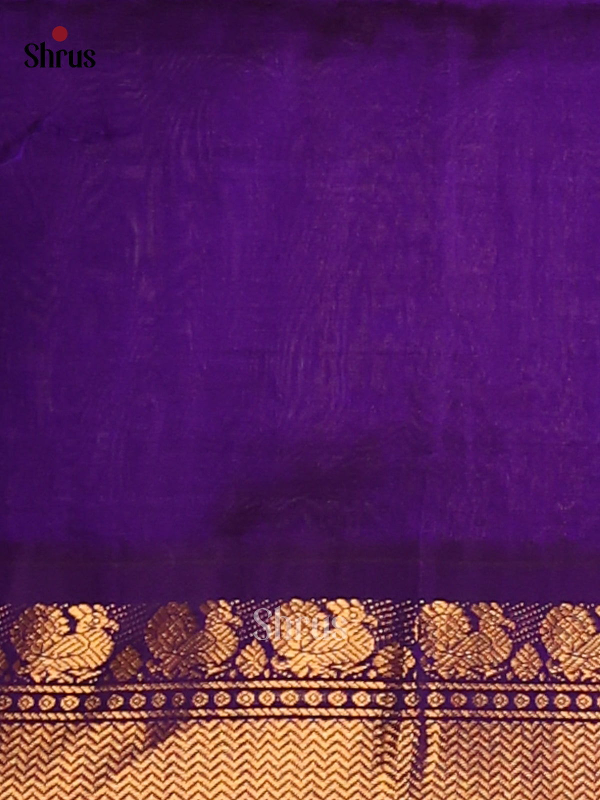 Charming Cream Silk Cotton Saree with Subtle Zari Checks & Violet Brocade Pallu - Shop on Shrus.com