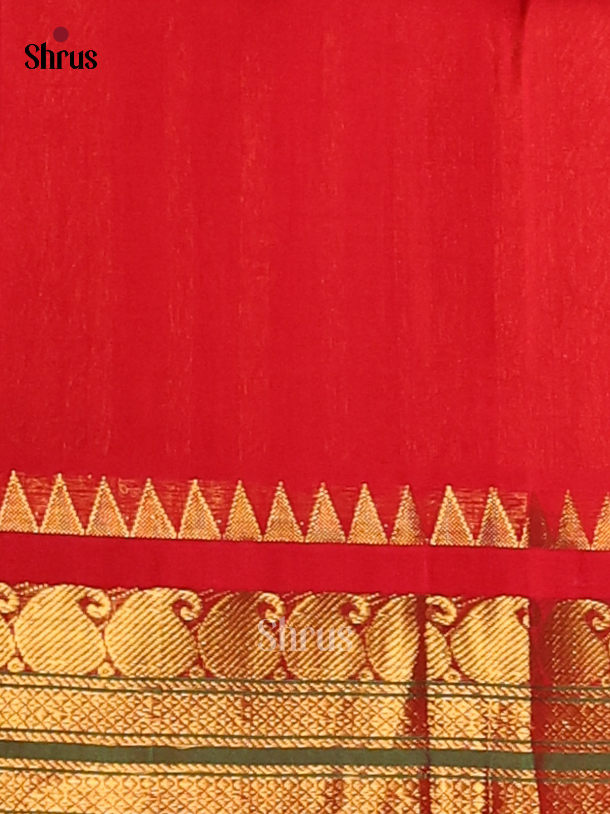 Sophisticated Mustard Silk Cotton Saree Featuring Gold Checks & Contrast Red Border - Shop on Shrus.com