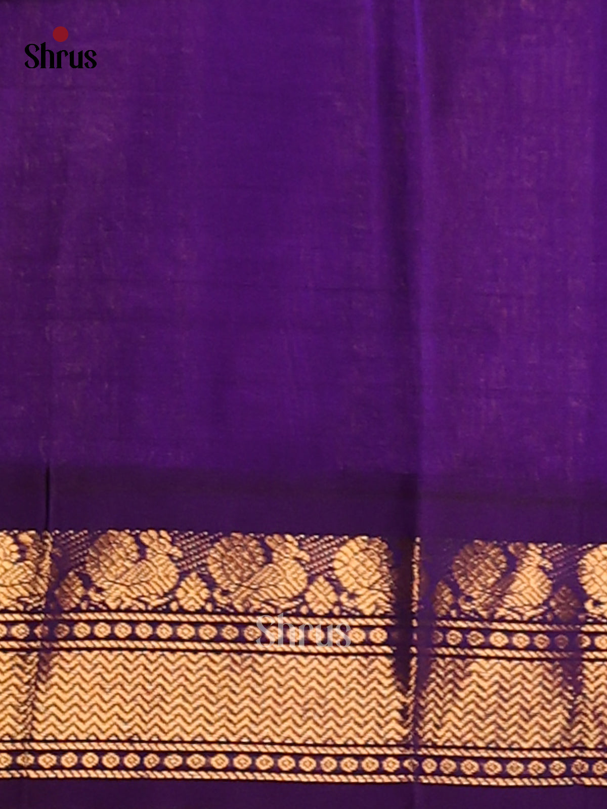 Regal Pink Silk Cotton Saree with zari checks & violet peacock buttas border - Shop on Shrus.com