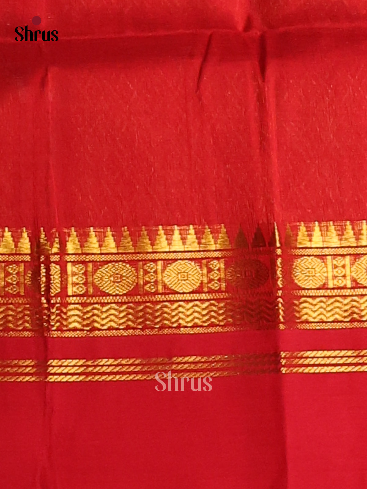 Timeless Green Silk Cotton Saree with gold zari checks , Red Brocade pallu - Shop on Shrus.com