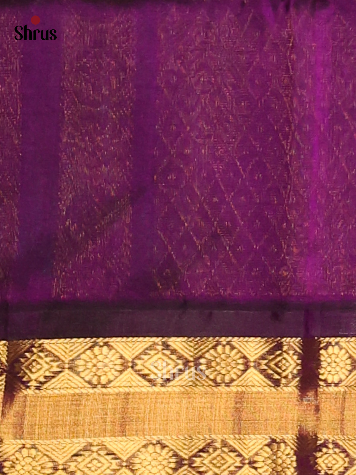 Dual tone Green Silk Cotton Saree with contrast Violet Criss cross Zari brocade pallu - Shop on Shrus.com
