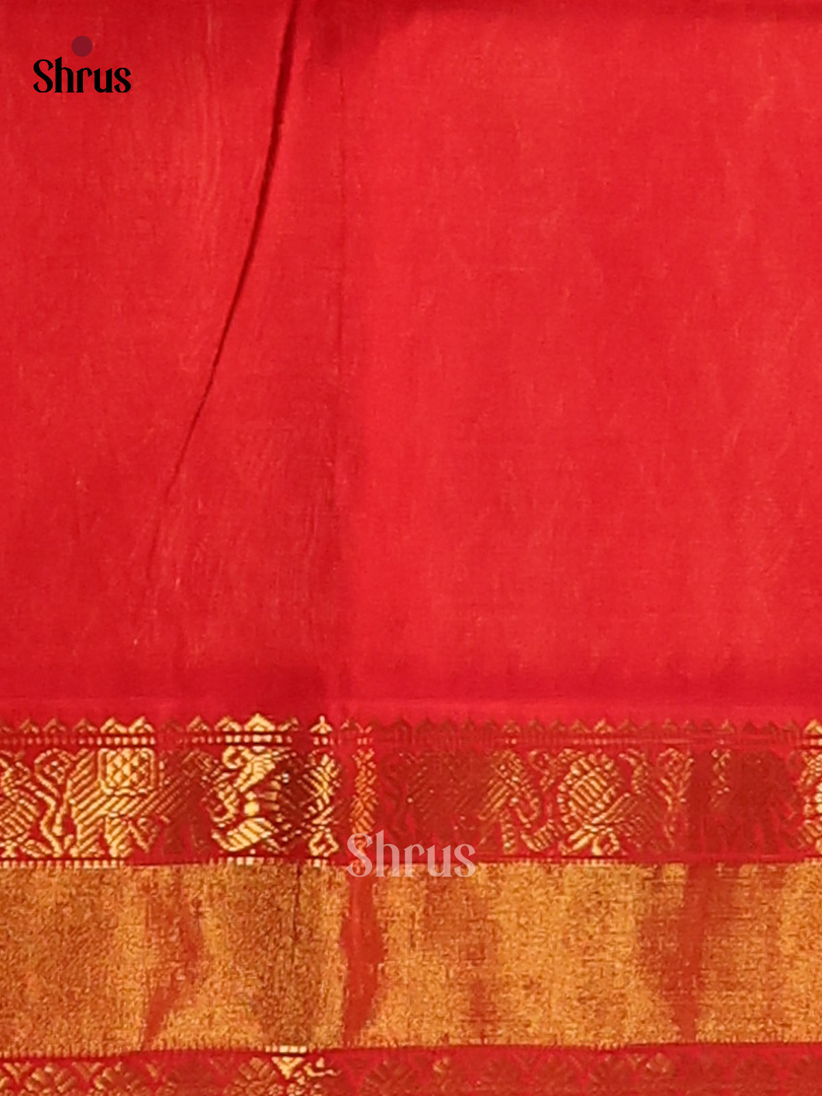 Charming Cream Silk Cotton Saree with simple body & Red criss cross brocade pallu - Shop on Shrus.com