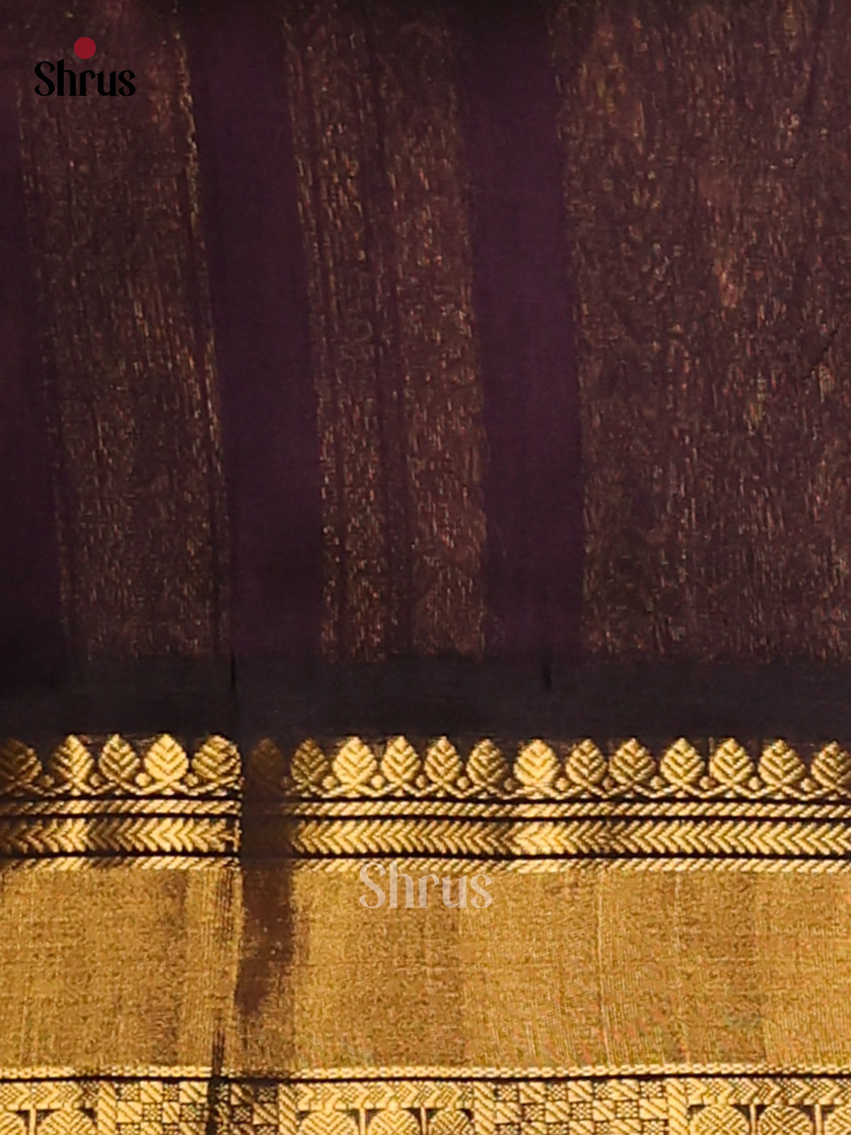 Chic Pink Silk Cotton Saree with Zari Motifs & Grand Black Pallu -1