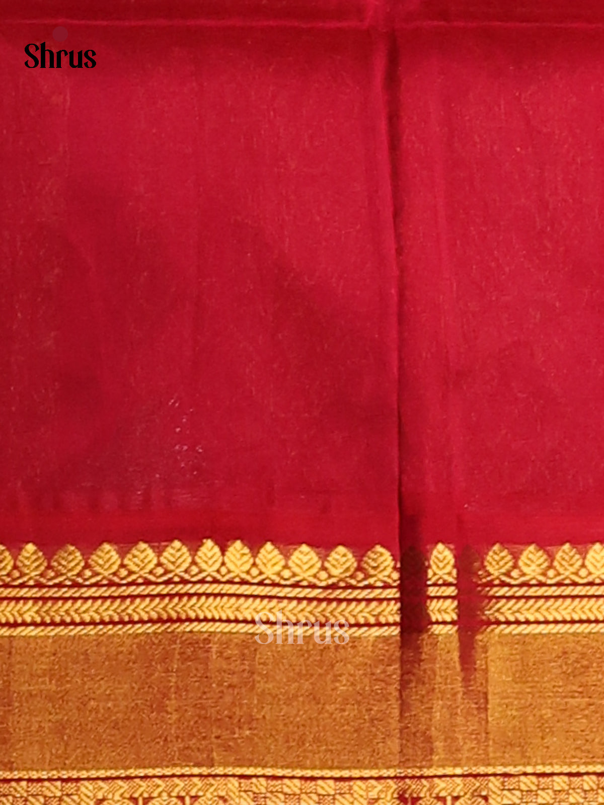 Teal Blue Silk Cotton Saree with Zari Motifs & Red Brocade Border -1