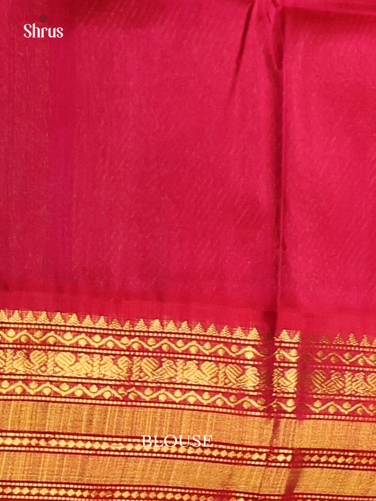 Charming Bottle Green Silk Cotton Saree with Red Pallu & Gold Motifs -1