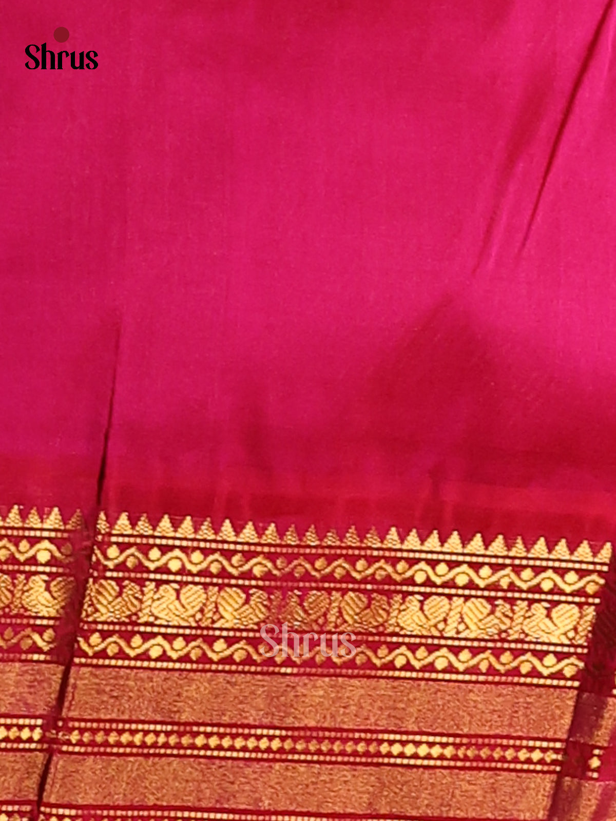 Yellow & Pink Silk Cotton Saree gleams with gold zari manga buttas - Shop on Shrus.com