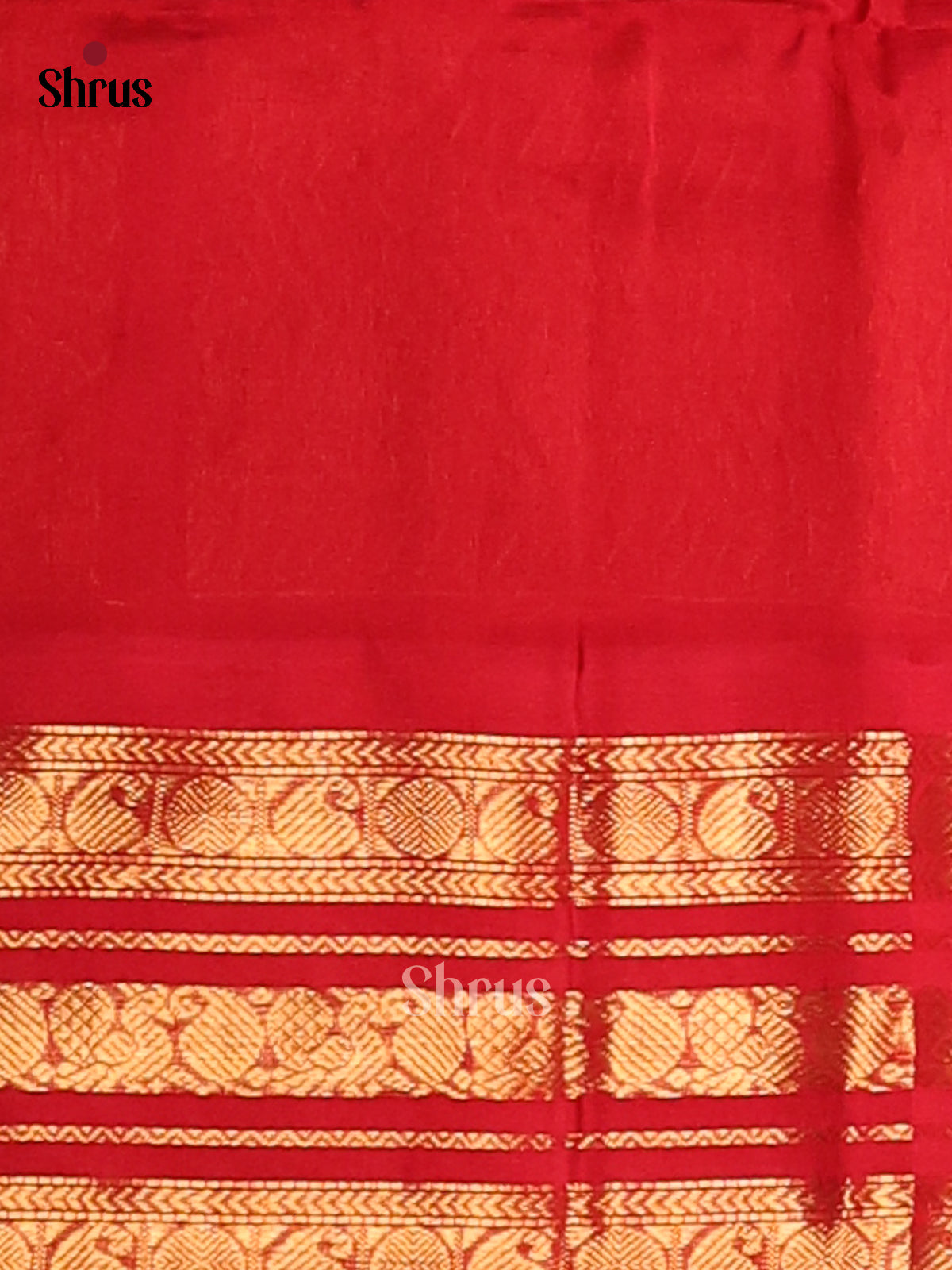 Majestic Violet Silk Cotton Saree with gold zari manga buttas, contrast Border - Shop on Shrus.com