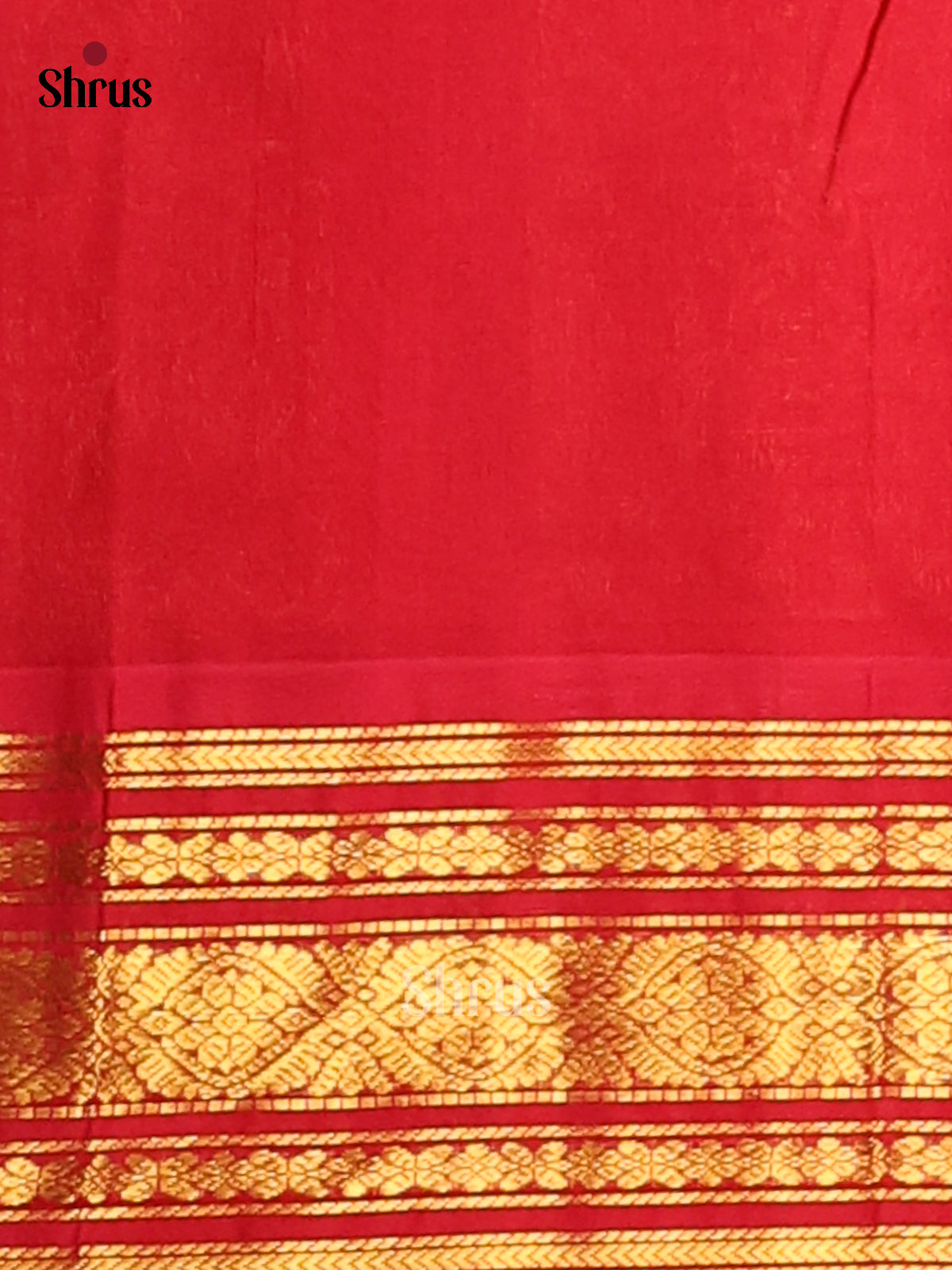 Chic Pastel Blue Silk Cotton Saree with gold zari buttas & Red zari border -1